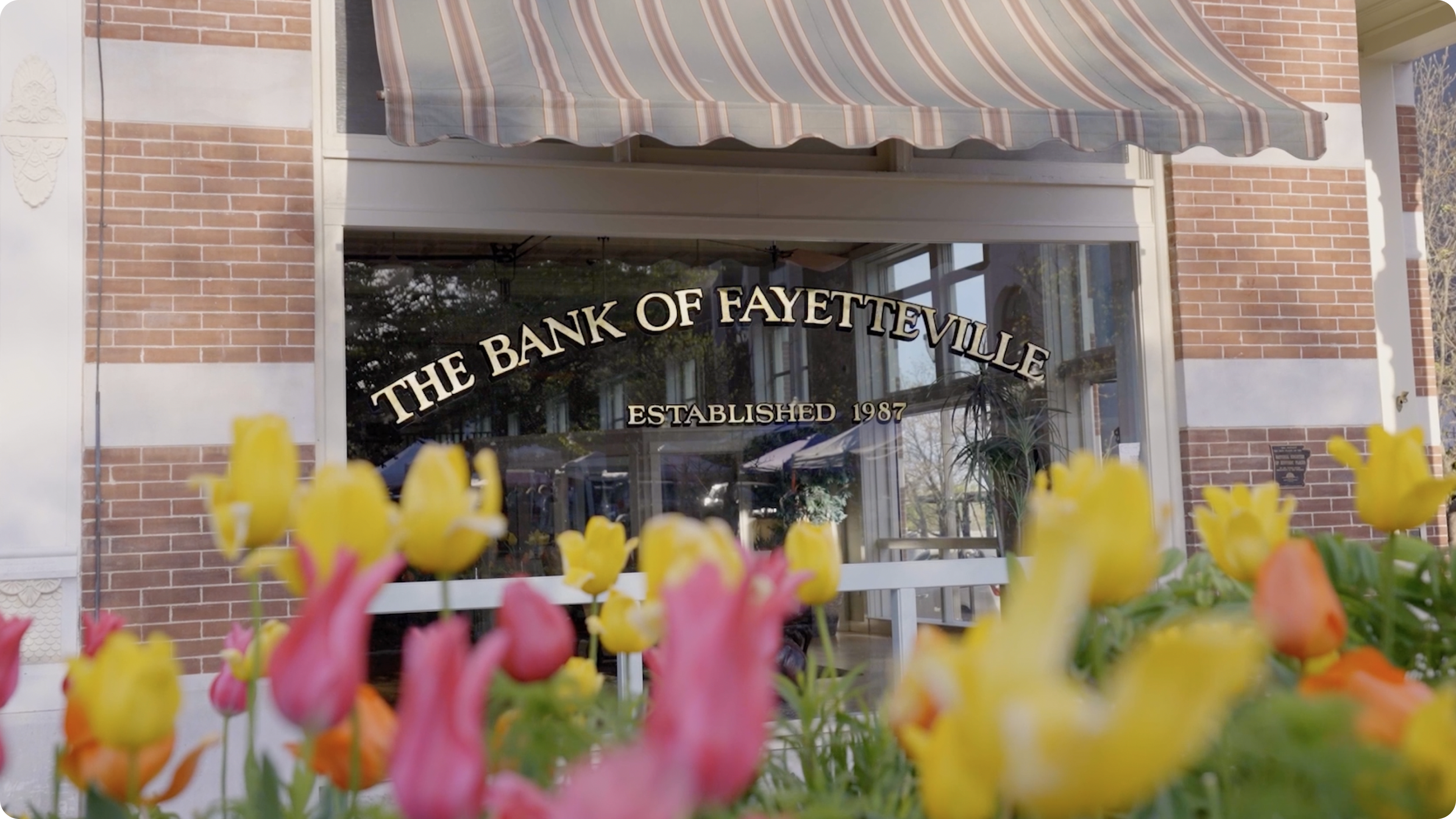 Lumin lets our staff work with each other in real time