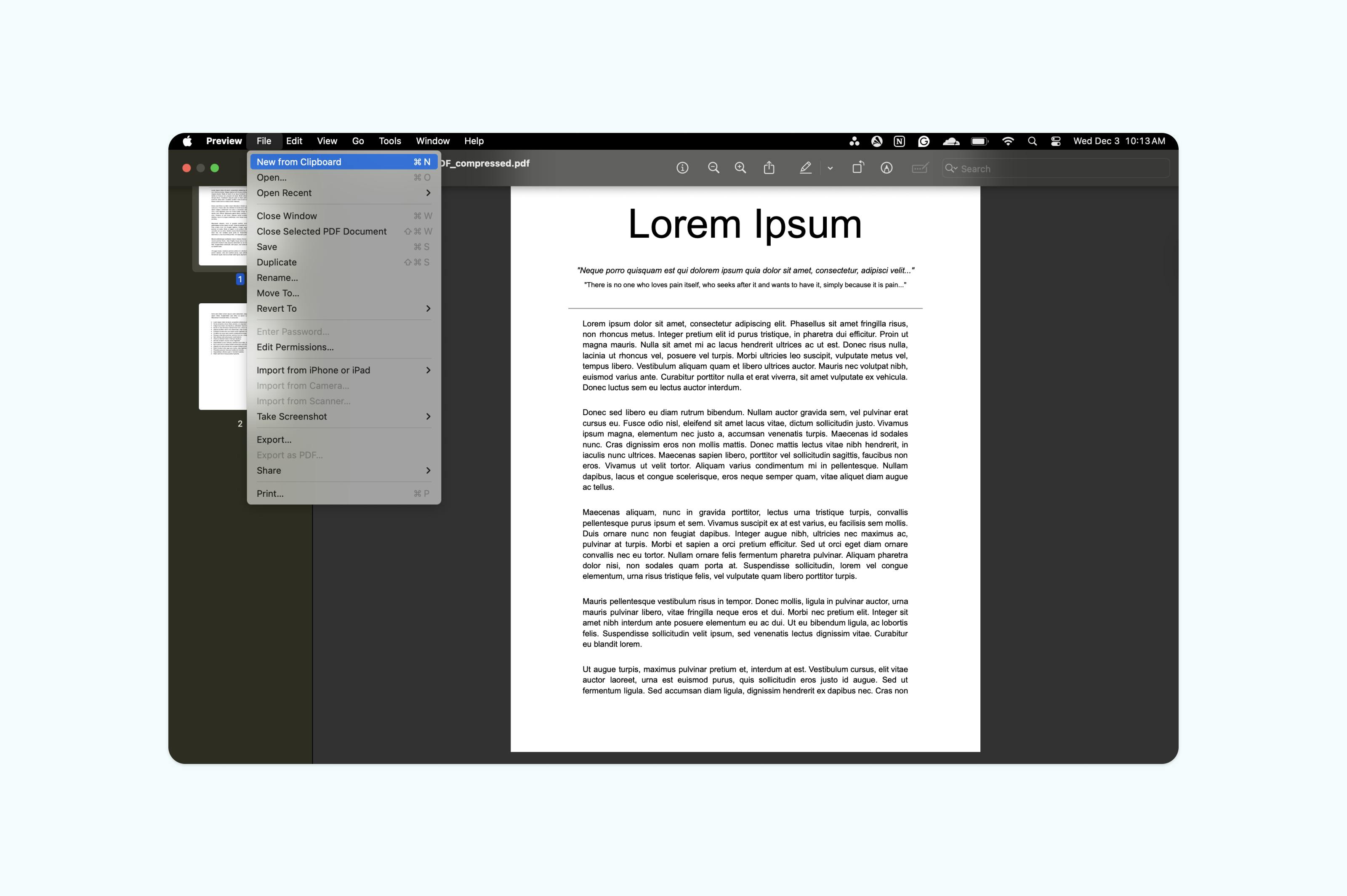 Pasting the PDF to the clipboard