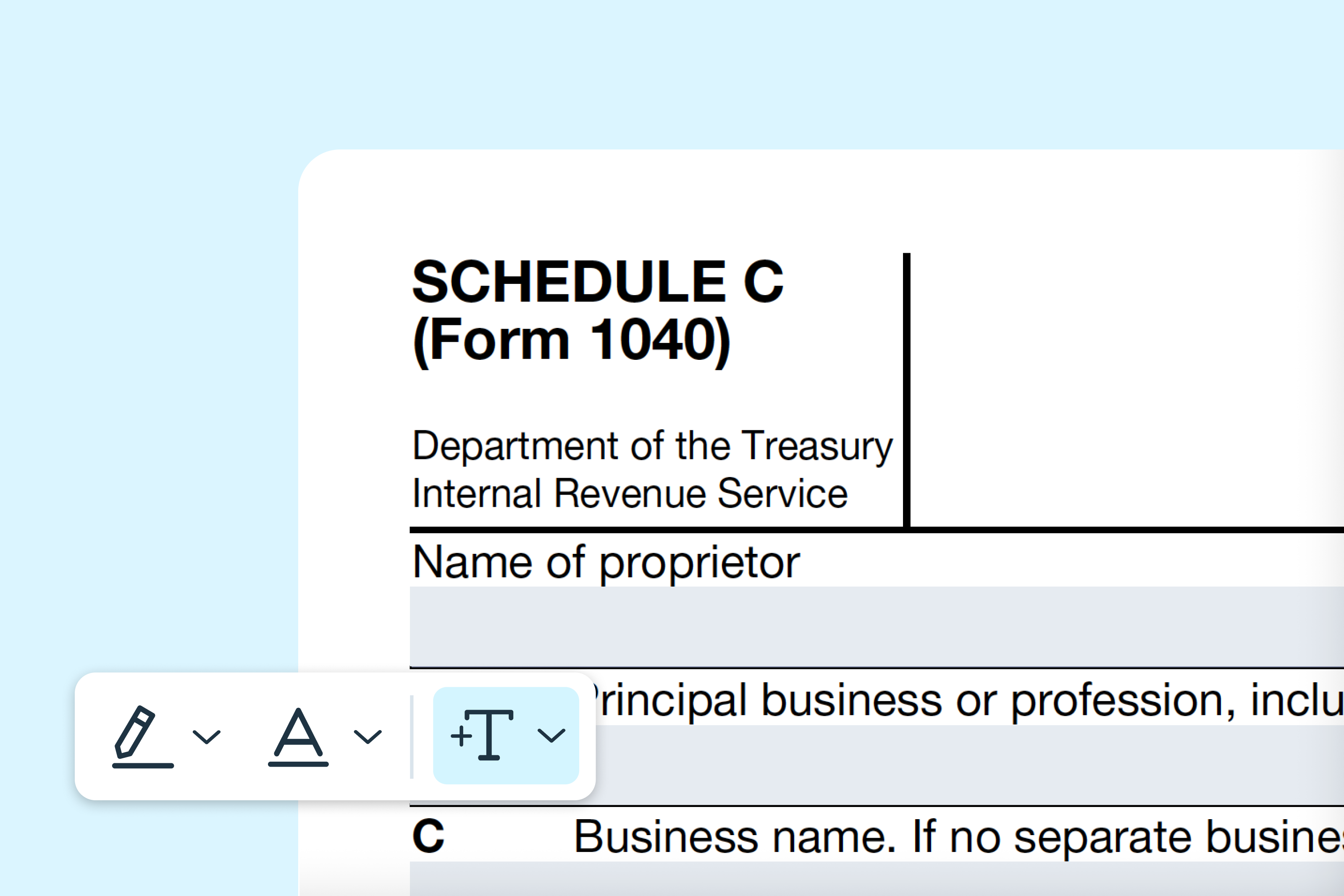 Filling out the Schedule C (Form 1040) online