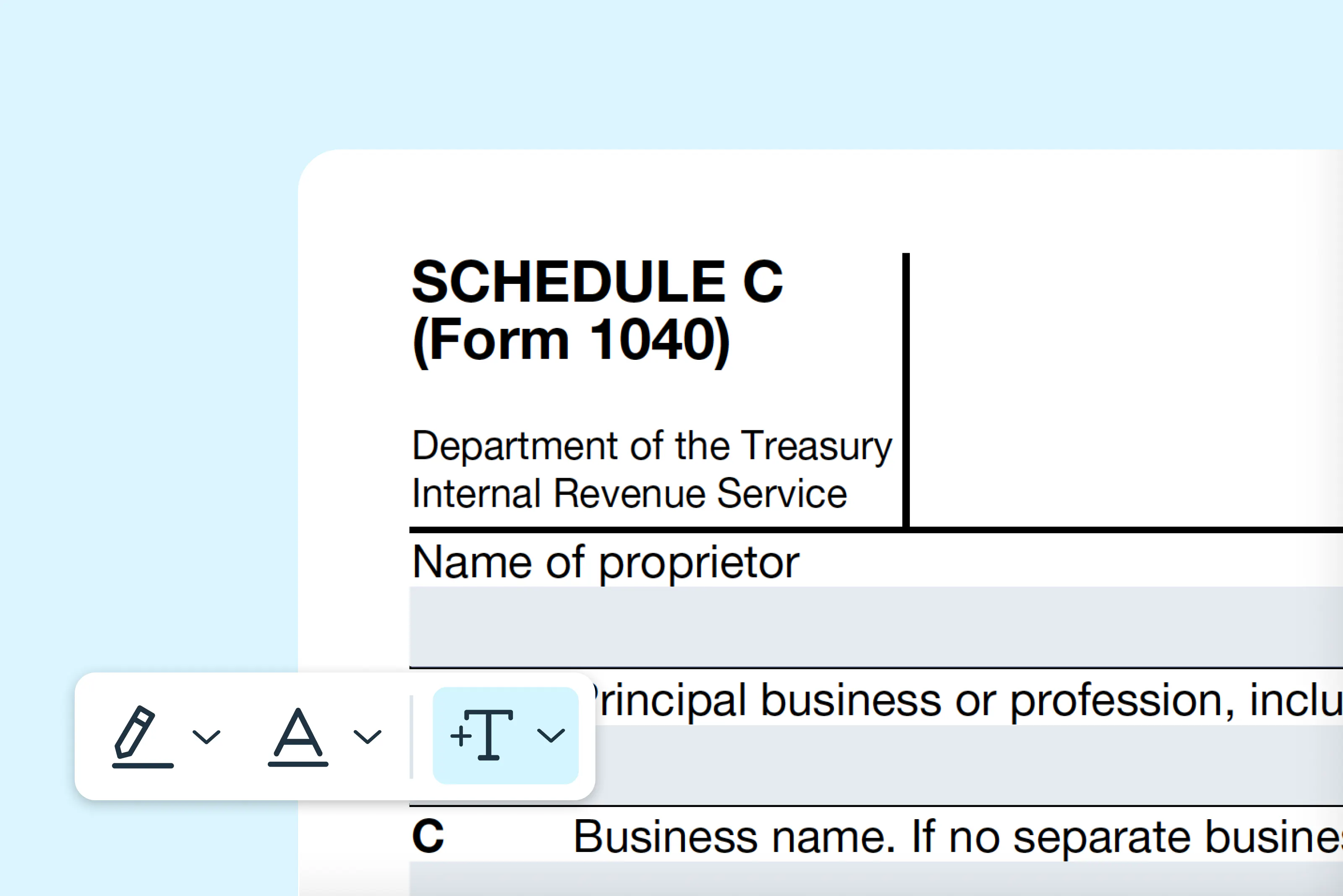 Filling out the Schedule C (Form 1040) online