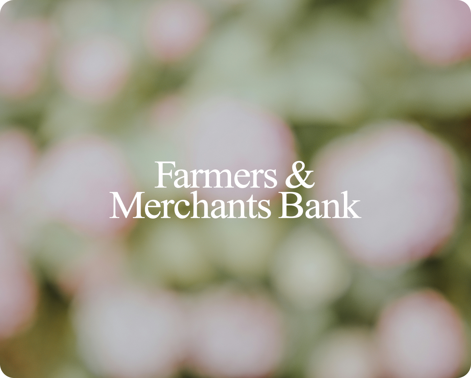 Lumin permet à notre équipe de travailler ensemble en temps réel