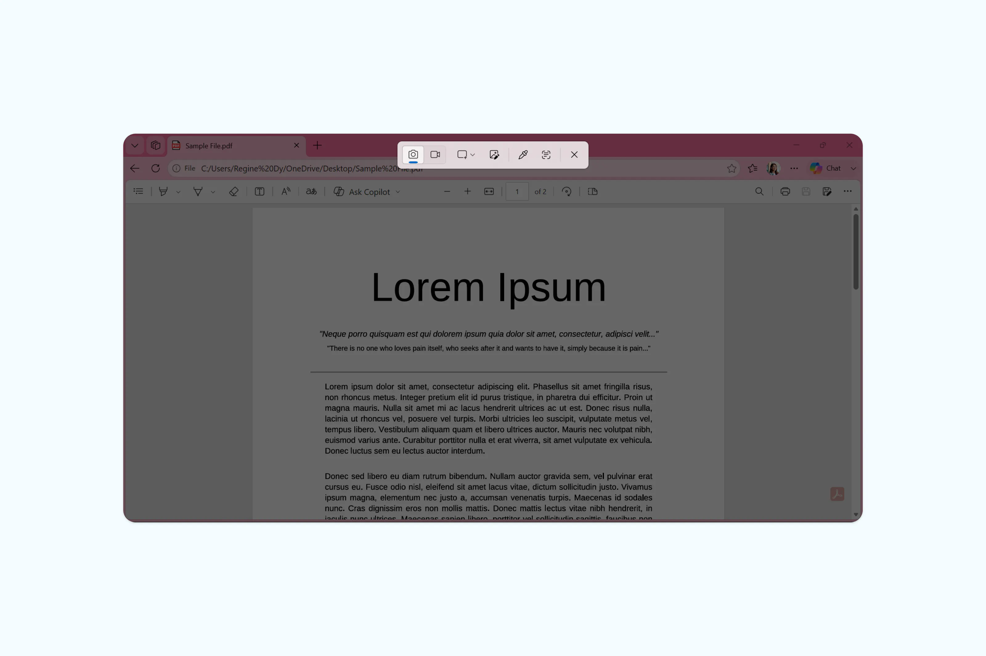 Using the Windows Snipping Tool to capture an image from a PDF
