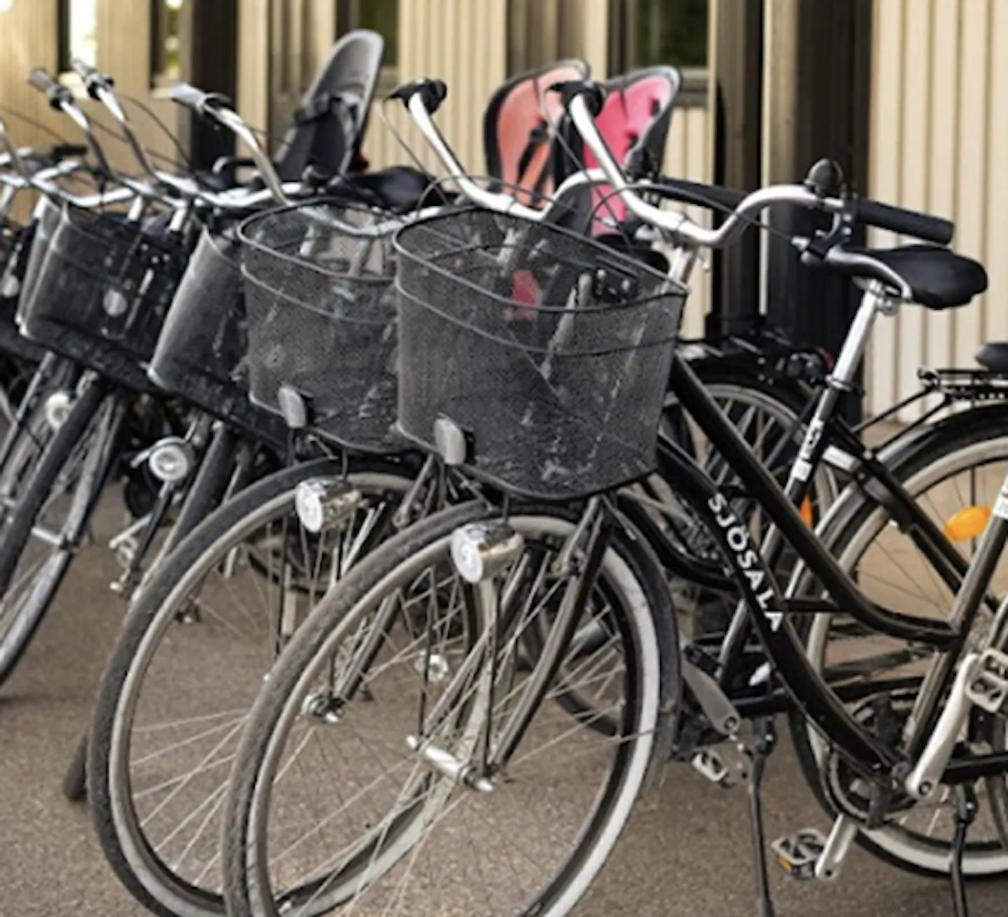 Bike Rental