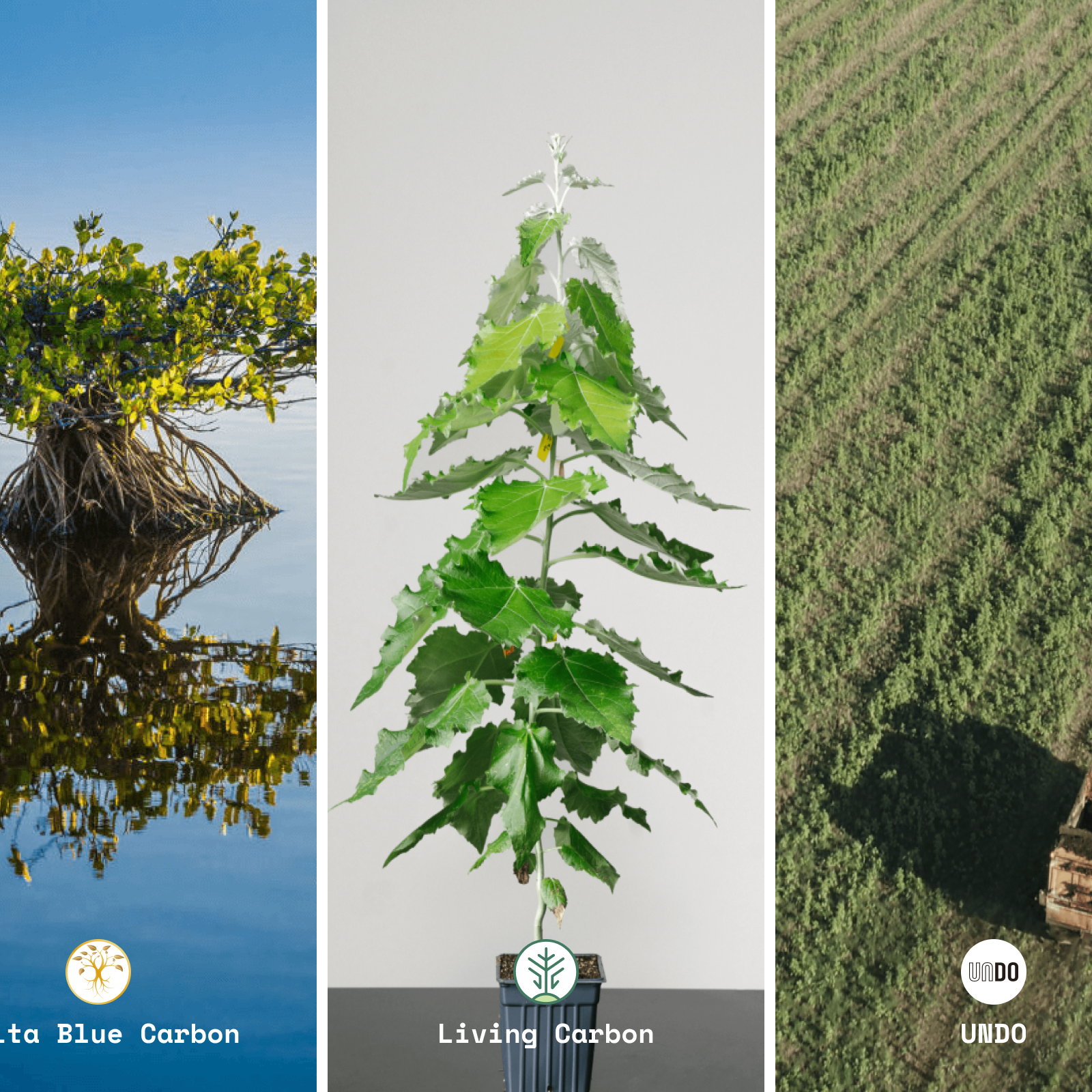 Carbon captured through Direct Air Capture is permanently trapped in concrete for the first time, and other updates from Lune’s carbon projects