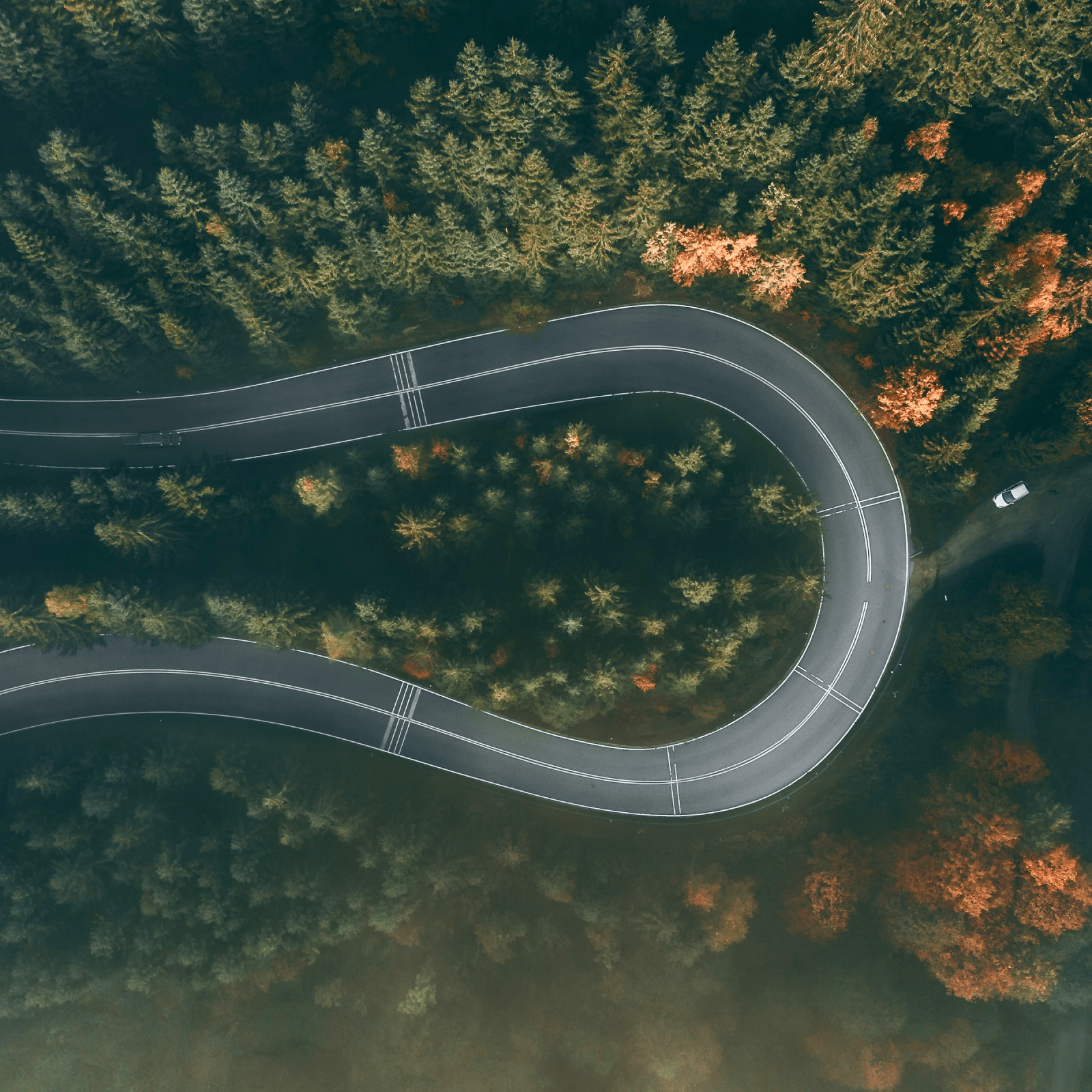 The Voluntary Carbon Market is on the cusp of a major turning point – and it needs the support of business leaders