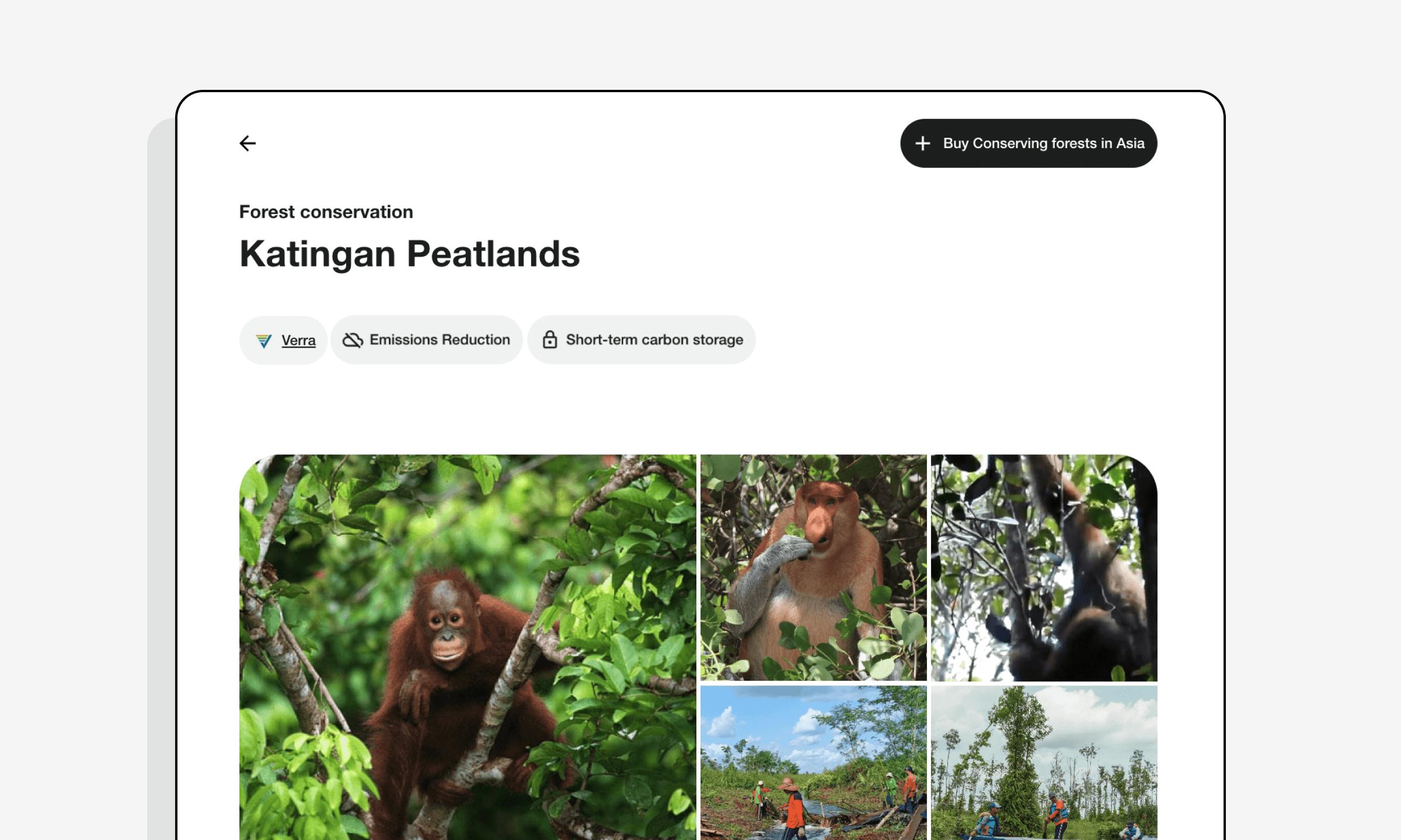 Katingan Peatlands – project shown in the Lune dashboard
