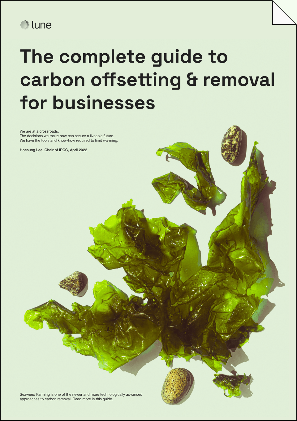 The complete guide to carbon offsetting and removal for businesses