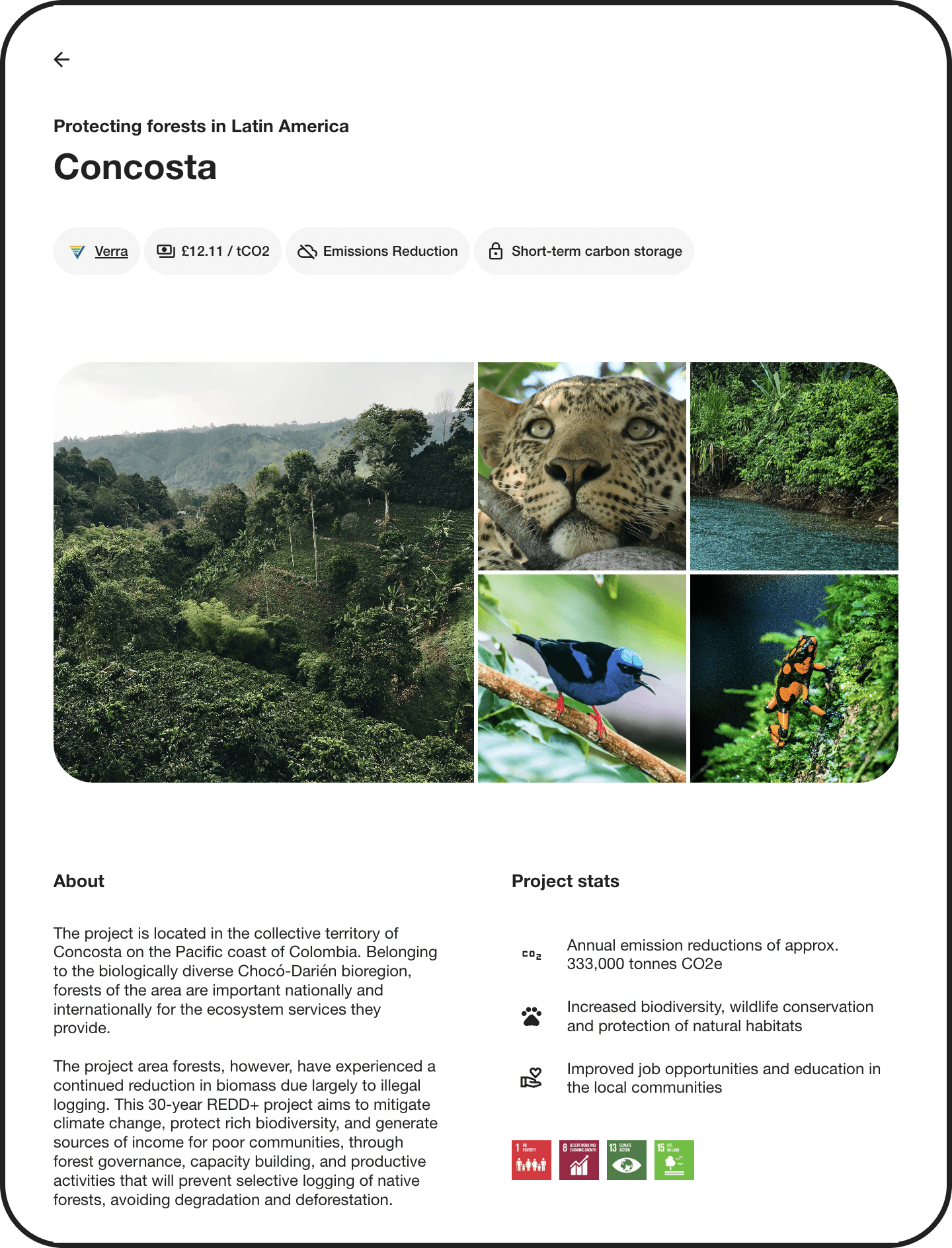 A screenshot showing the concosta forest conservation project's page in the Lune dashboard