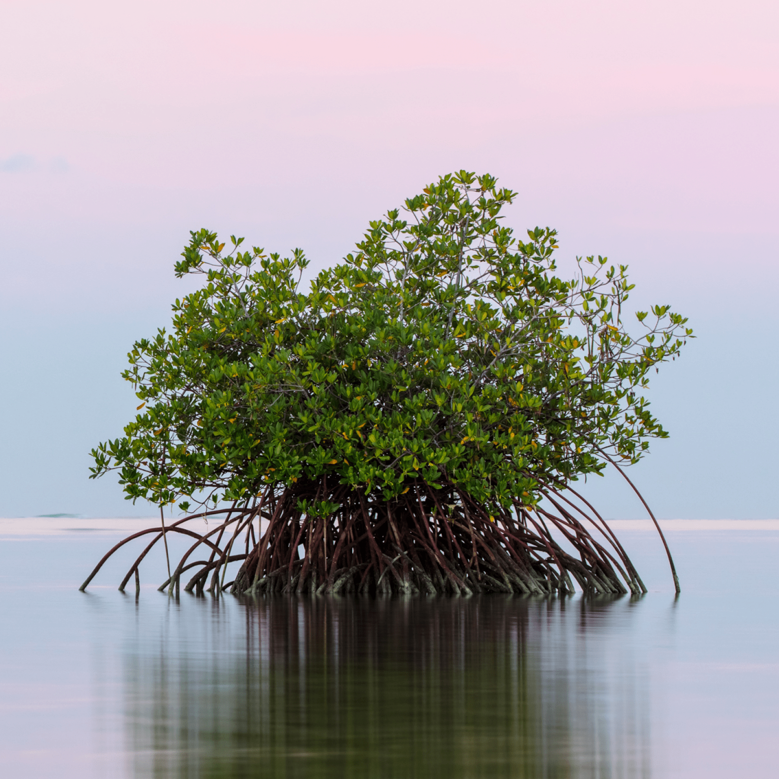 The biggest sustainability wins of 2022 – a round up of the year’s positive environmental news