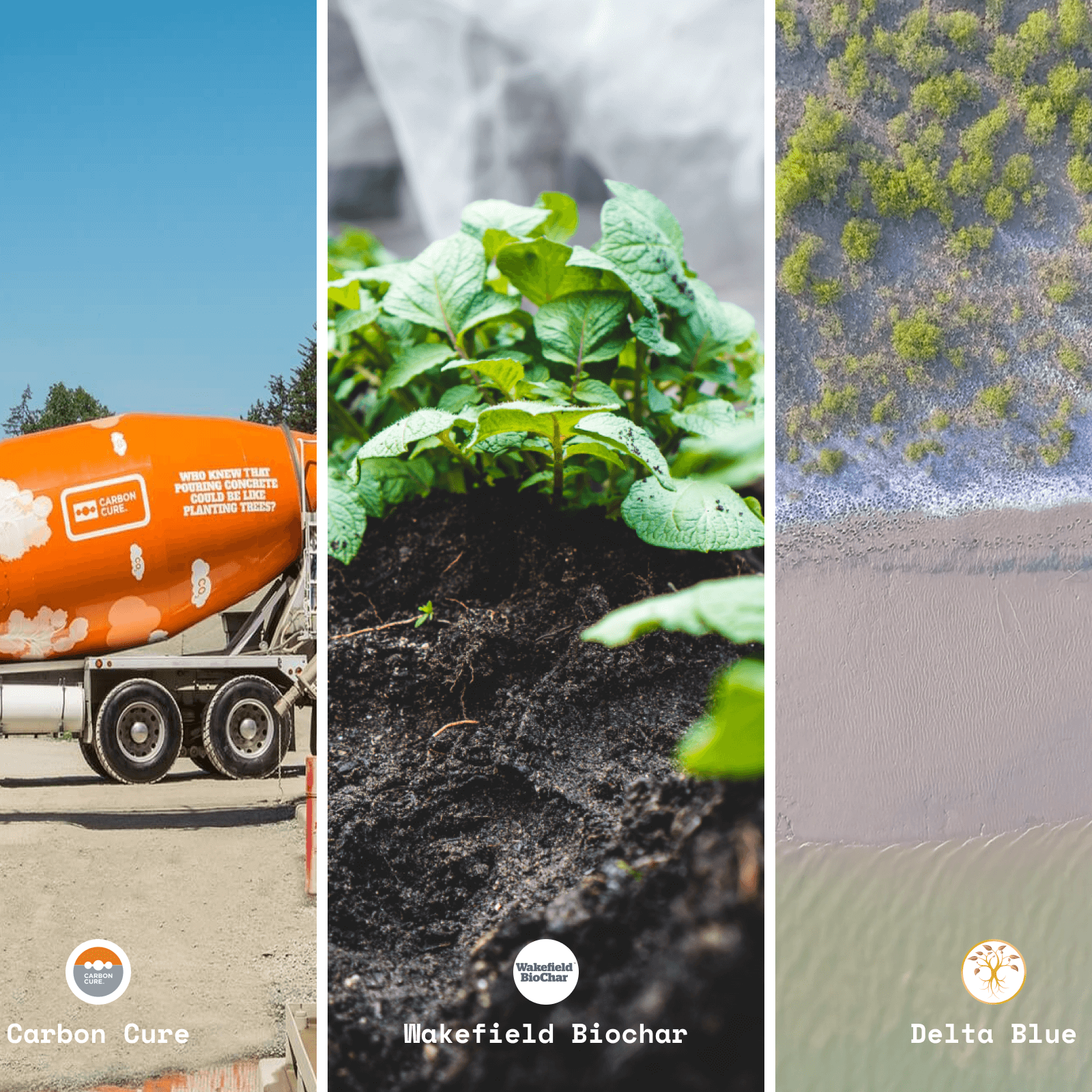 FSC leadership awards, using carbon to build greener homes, and other news from Lune’s climate projects