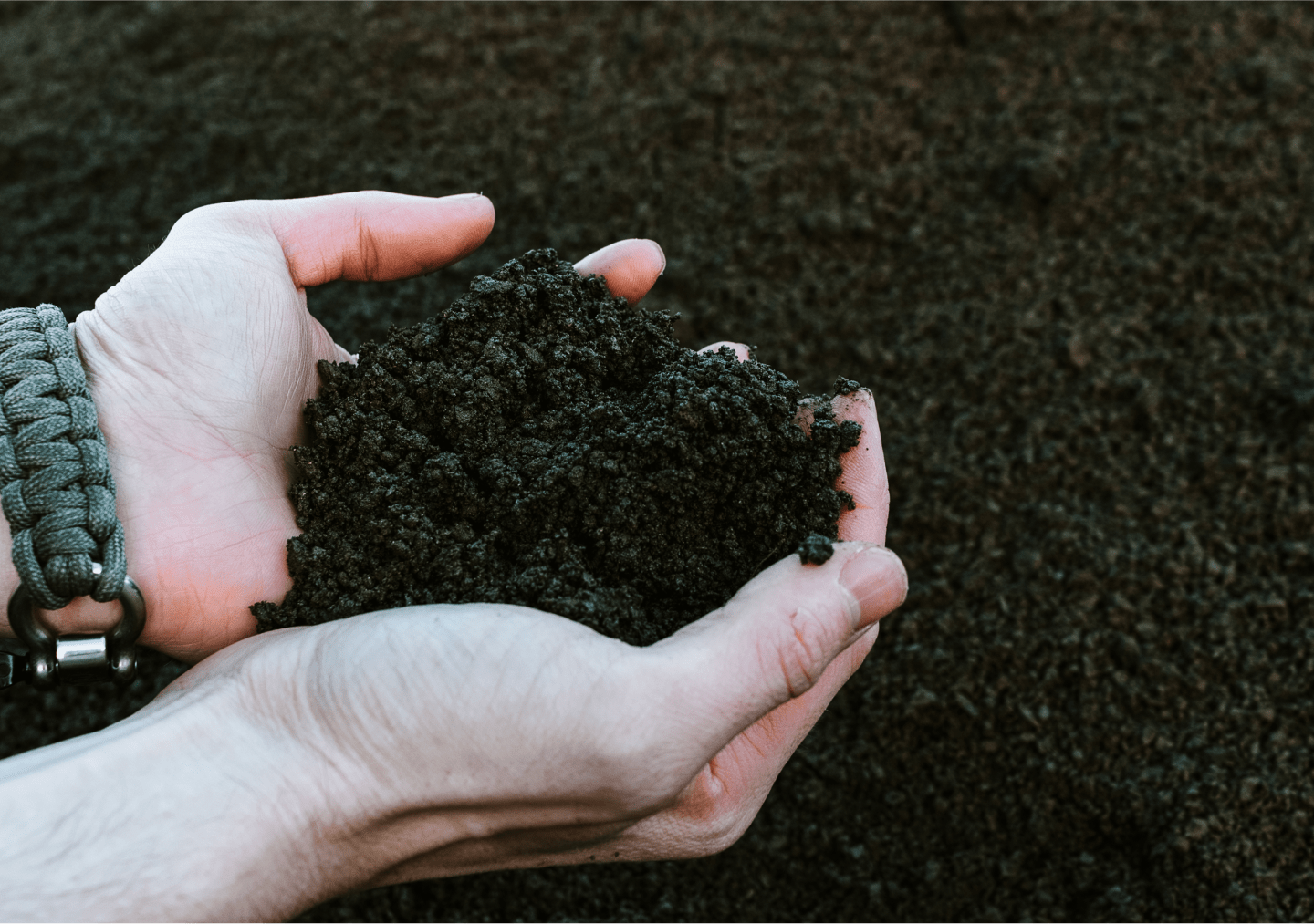 Photo showing two cupped hands holding soil