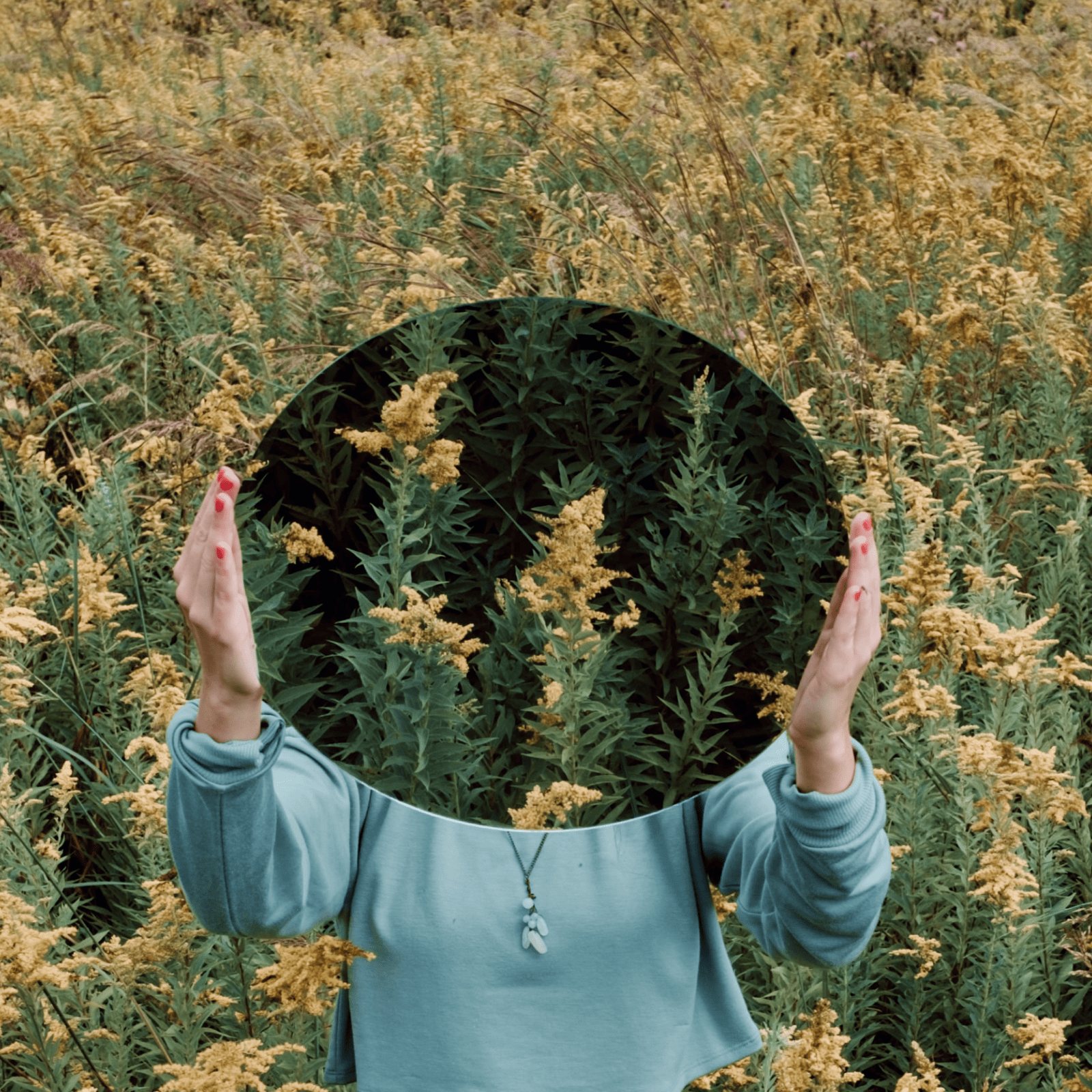 What is ‘climate quitting’? Meet the employees on the hunt for green jobs