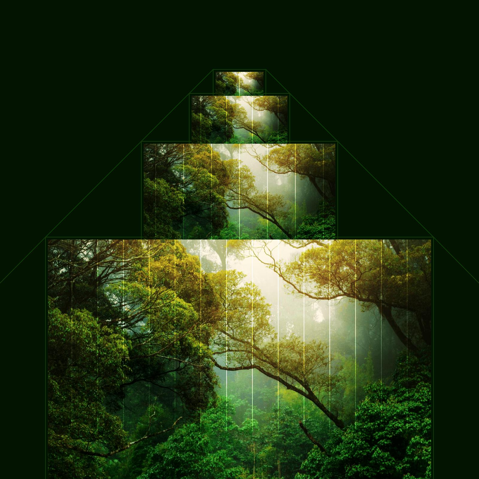 avoiding-overestimation-in-carbon-offset-projects-explained