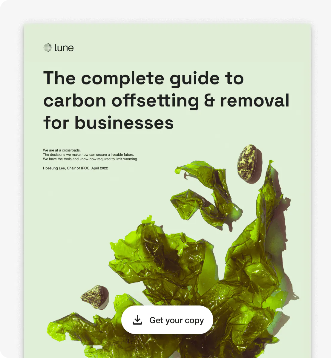A guide to getting started with carbon offsetting as a business