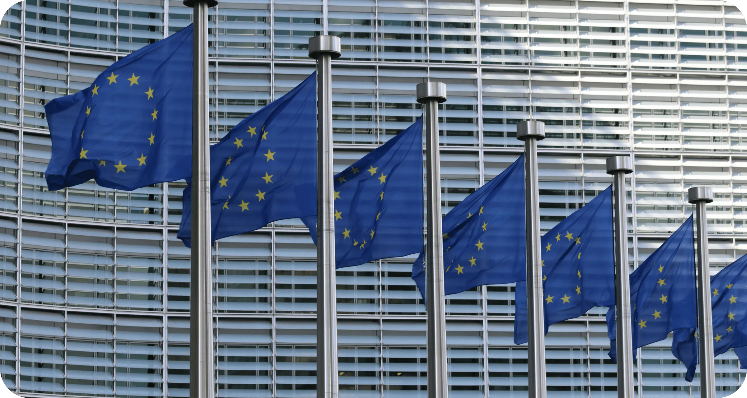 EU Omnibus: How does the proposal impact CSRD and green transition?