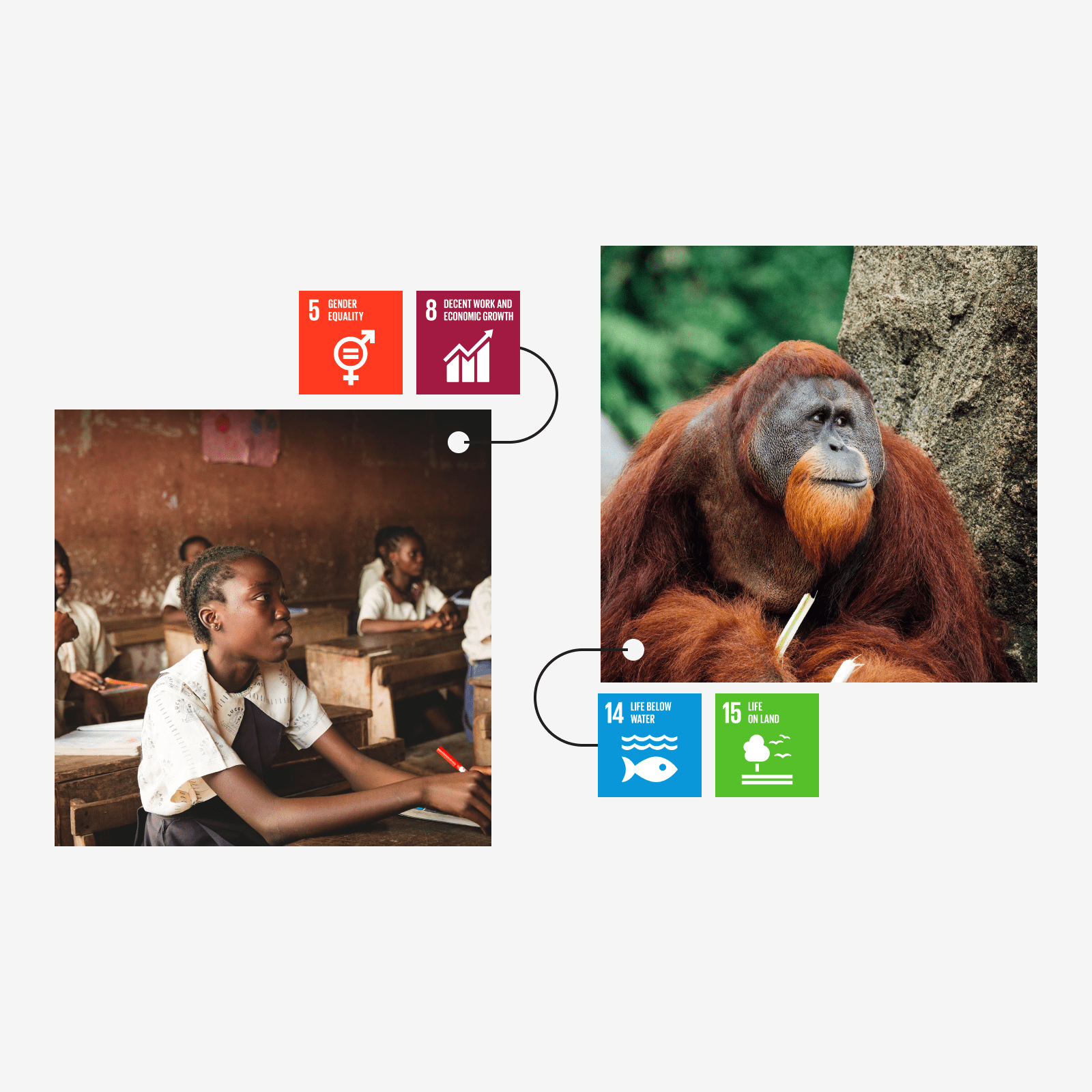 How businesses can contribute to the Sustainable Development Goals through carbon offsetting