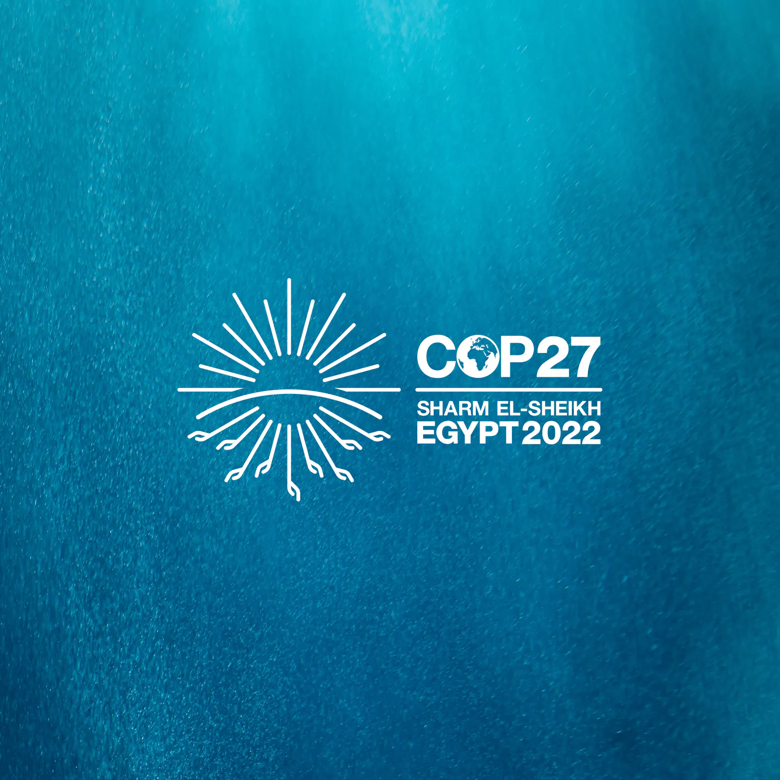COP27 carbon markets roundup: some progress made on Article 6, but it ...