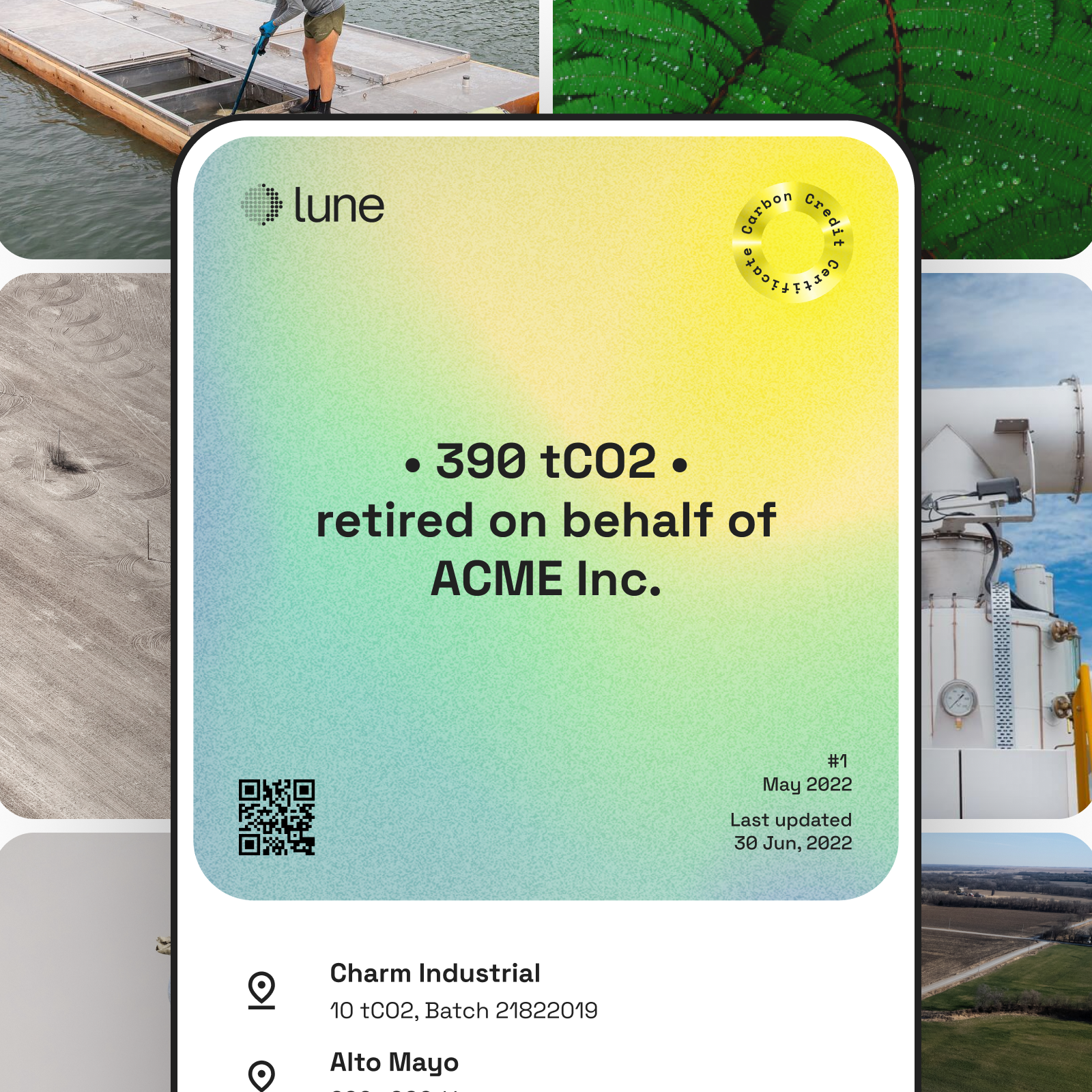 5 examples of the real-world impact of (high-quality) carbon offsets