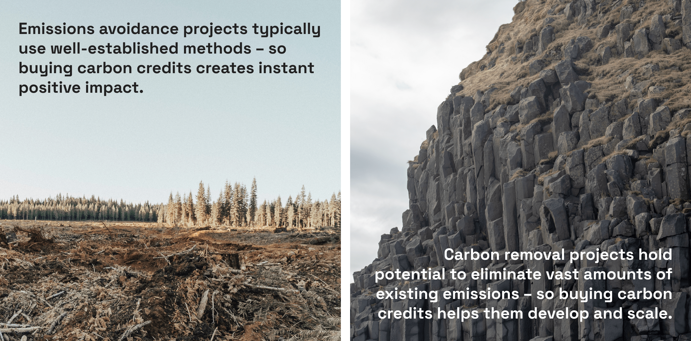 Emissions avoidance projects typically use well-established methods - so buying carbon credits creates instant positive impact. Carbon removal projects hold potential to eliminate vast amounts of existing emissions - so buying carbon credits helps them develop and scale.