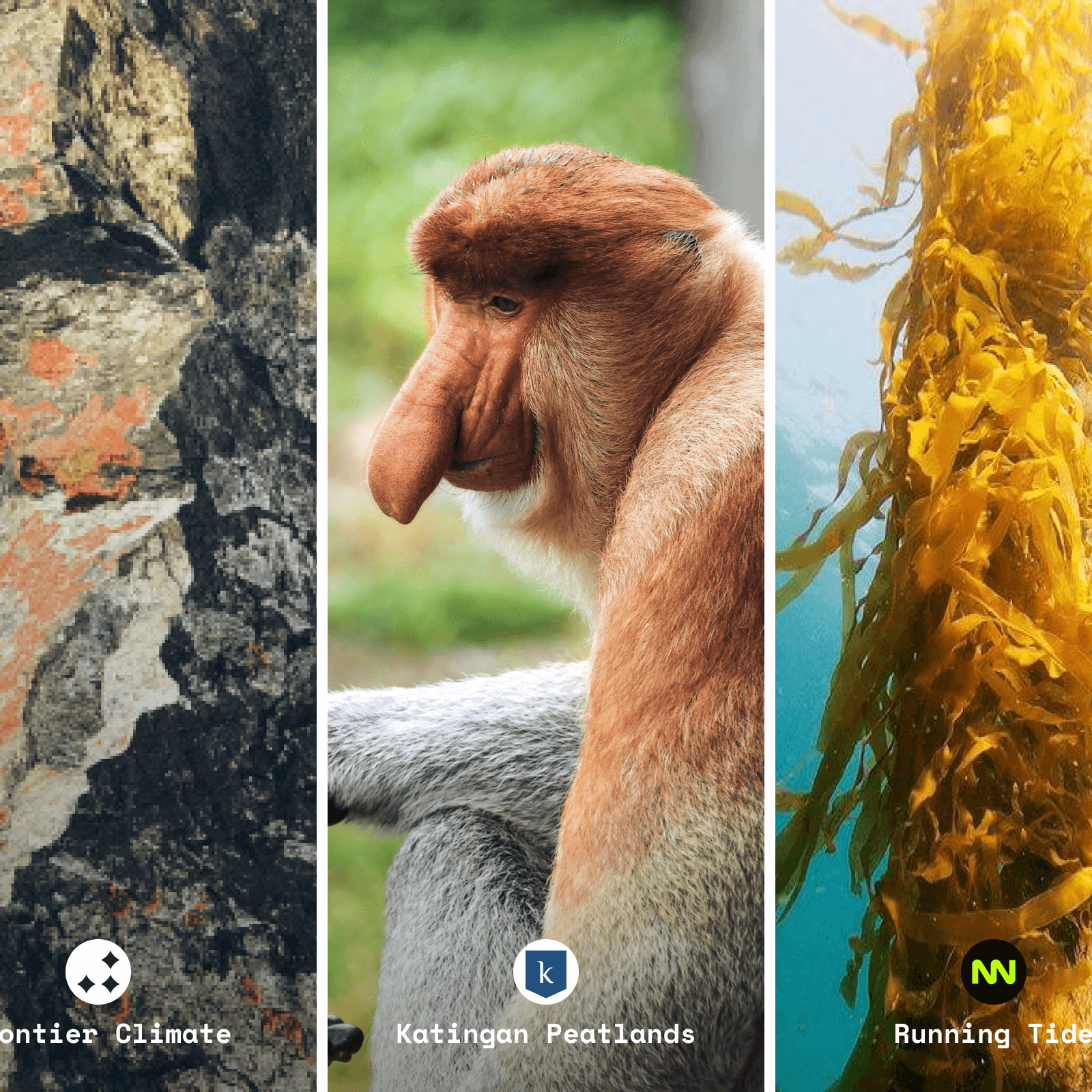 A new portfolio, a new approach to evaluating environmental impact, and other news from Lune’s carbon projects