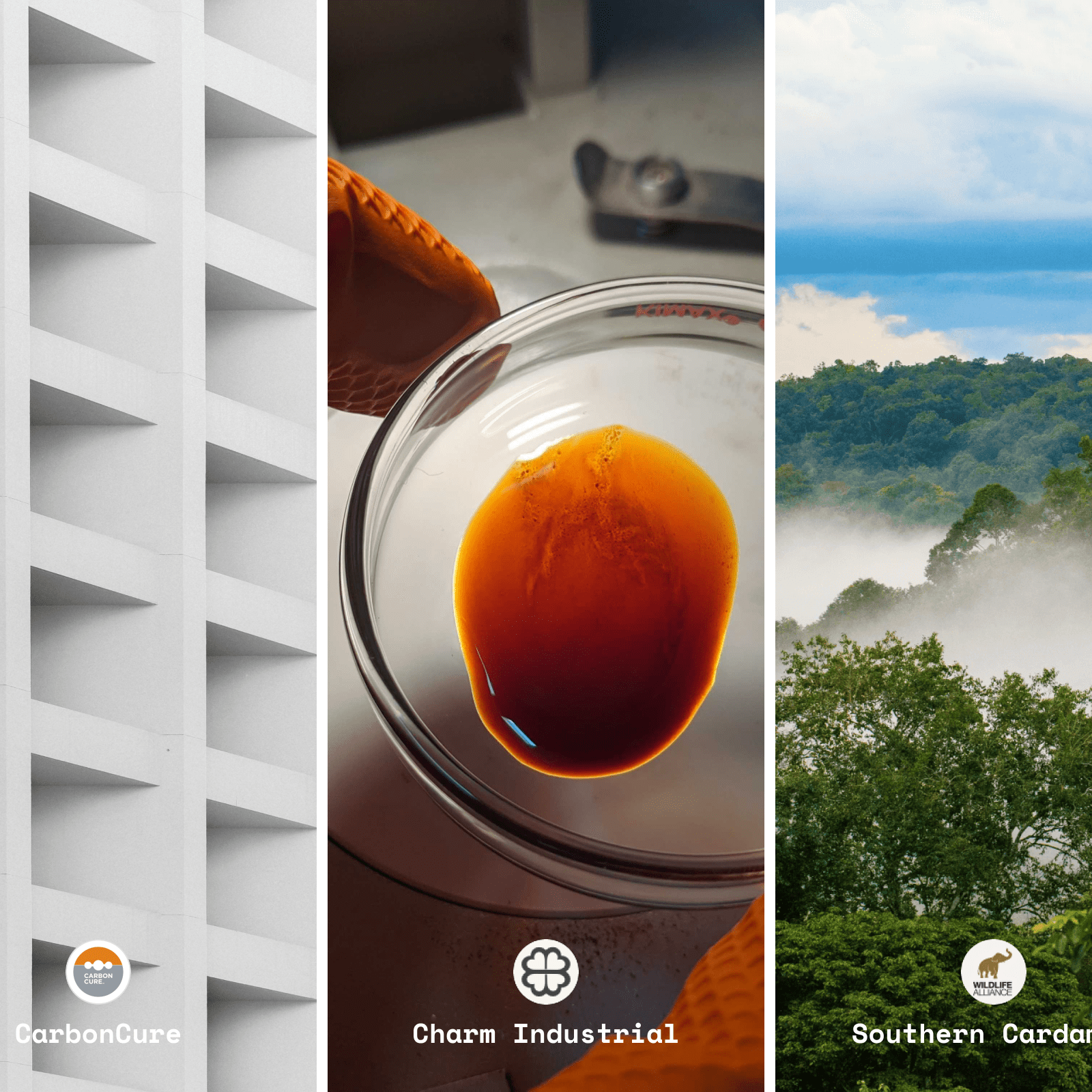 New sites for Direct Air Capture, a 3D photo booth to measure kelp growth, and other updates from Lune’s carbon offset projects