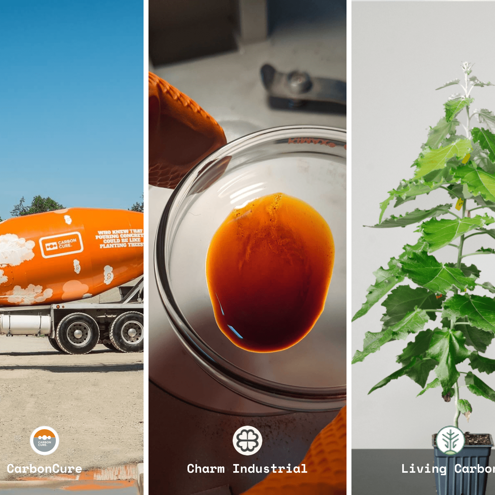 The first verified enhanced weathering methodology, behind-the-scenes in bio-oil, and other updates from Lune’s carbon offset projects