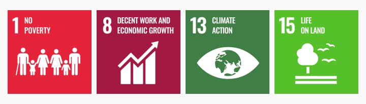 Icons of 4 of the Sustainable Development Goals – 1 No poverty, 8 Decent work and economic growth, 13 Climate action, 15 Life on land