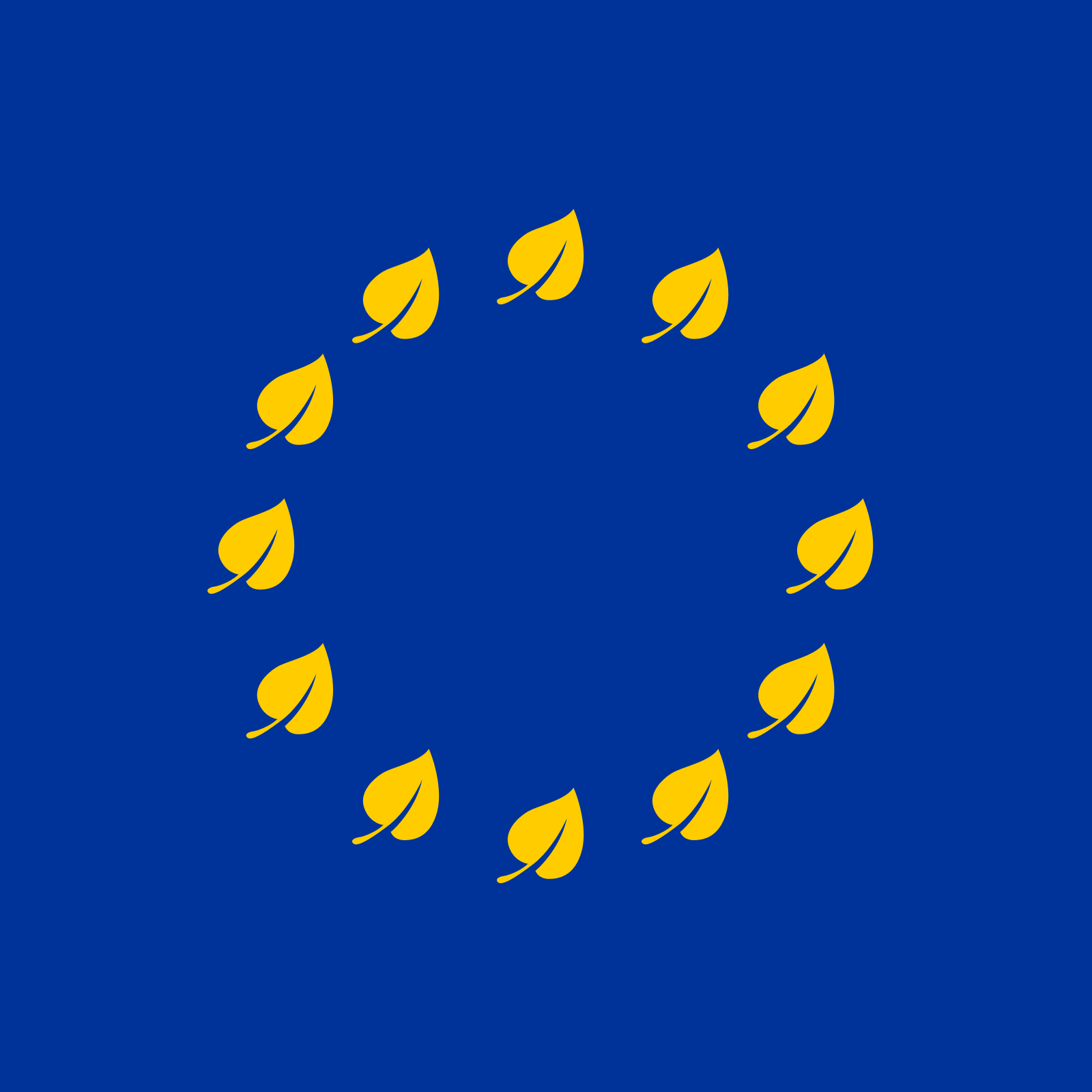 An overview of the EU Corporate Sustainability Reporting Directive – what does it mean for your business?