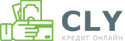 CLY - ТОВ «ЗАЙМЕР» ЄДРПОУ 42146903