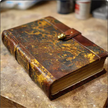 HARRY'S JOURNAL