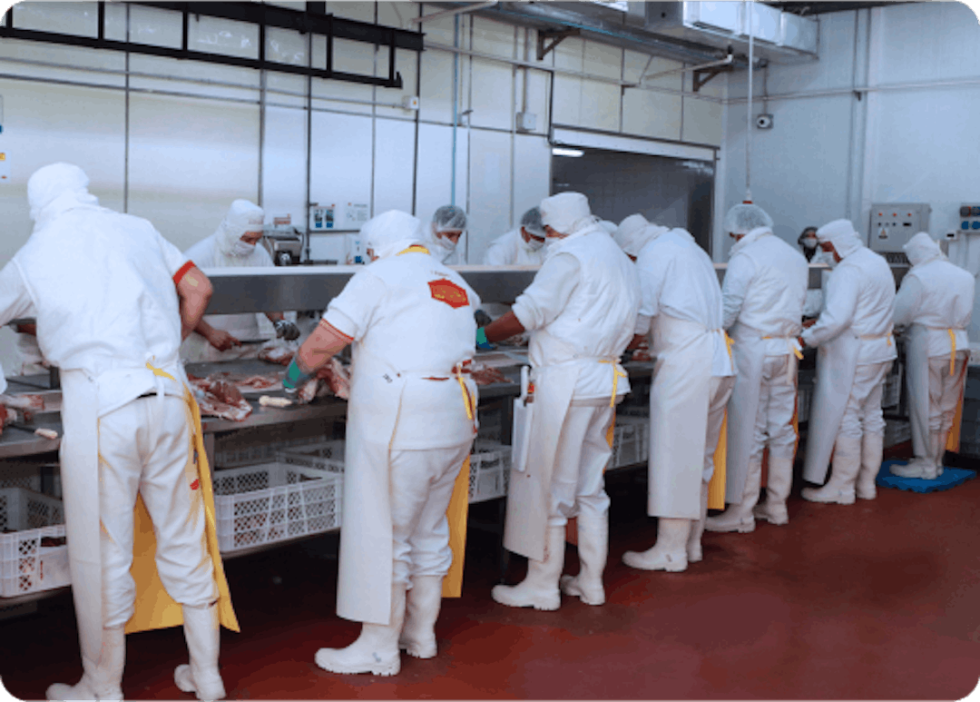 trabajadores en la fabrica