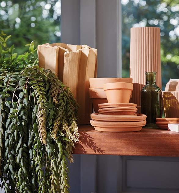 Plants and plant pots 