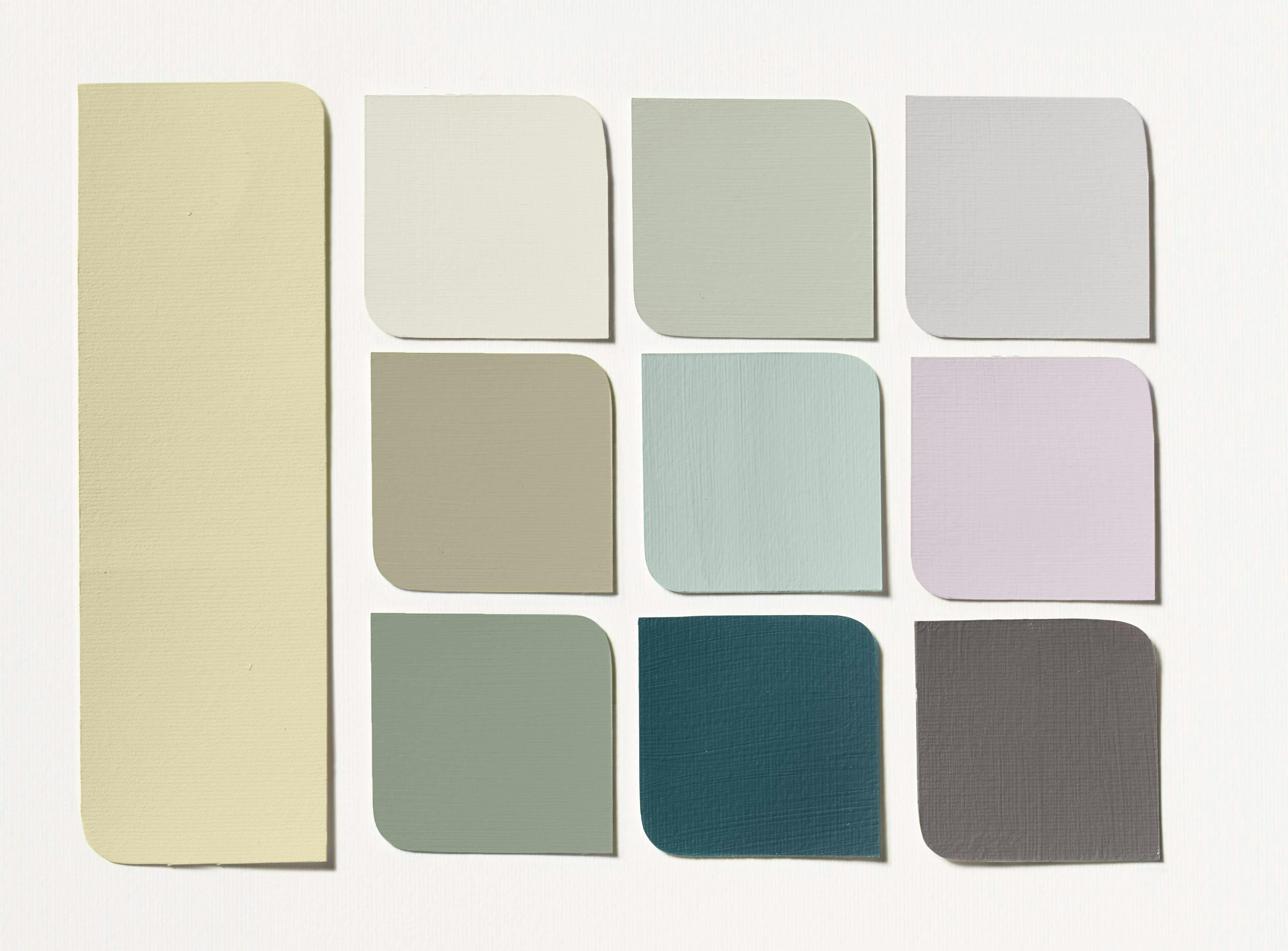 Dulux colour of the year 2023 wild wonder