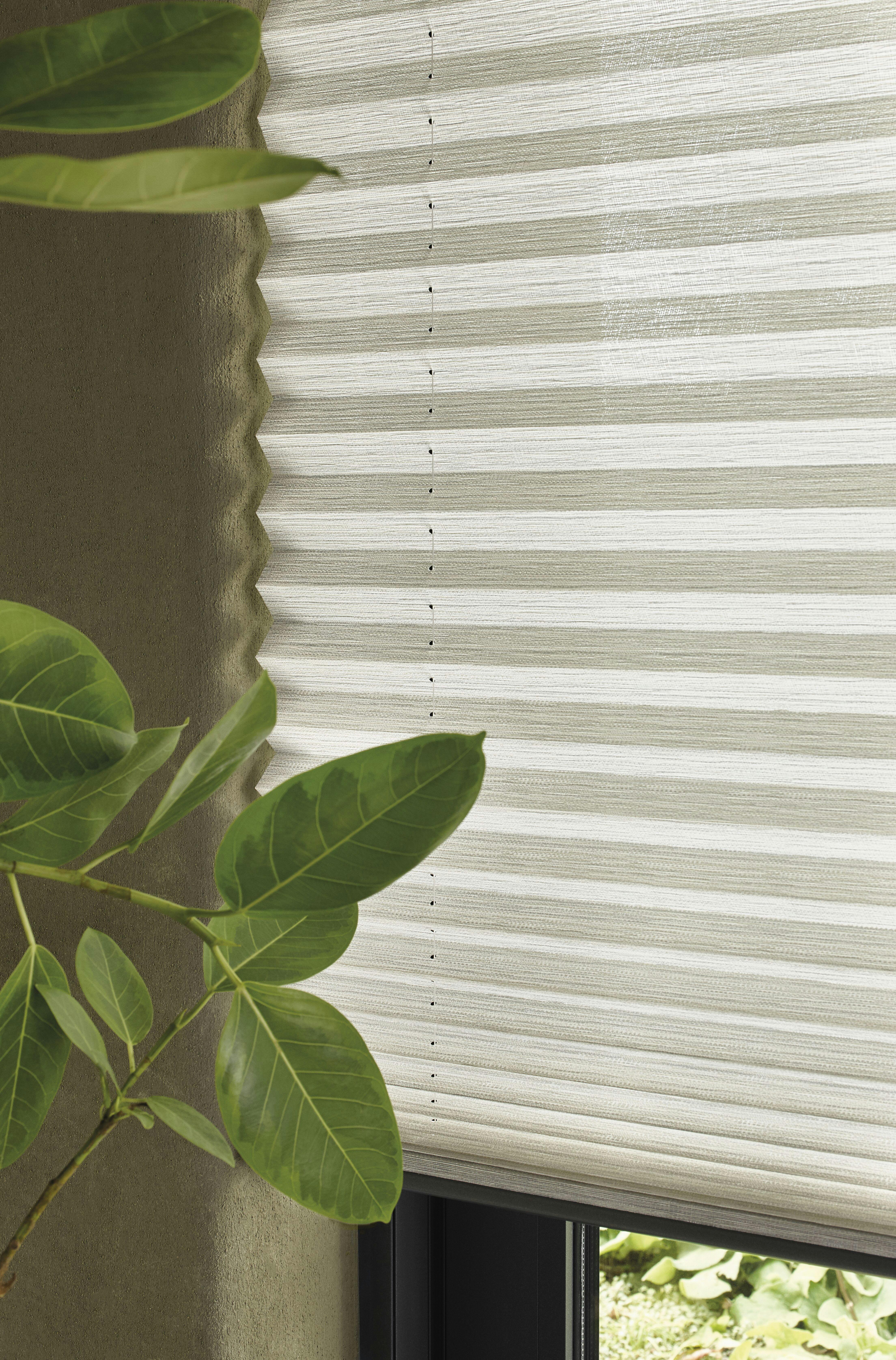 standard window with white plisse shades 