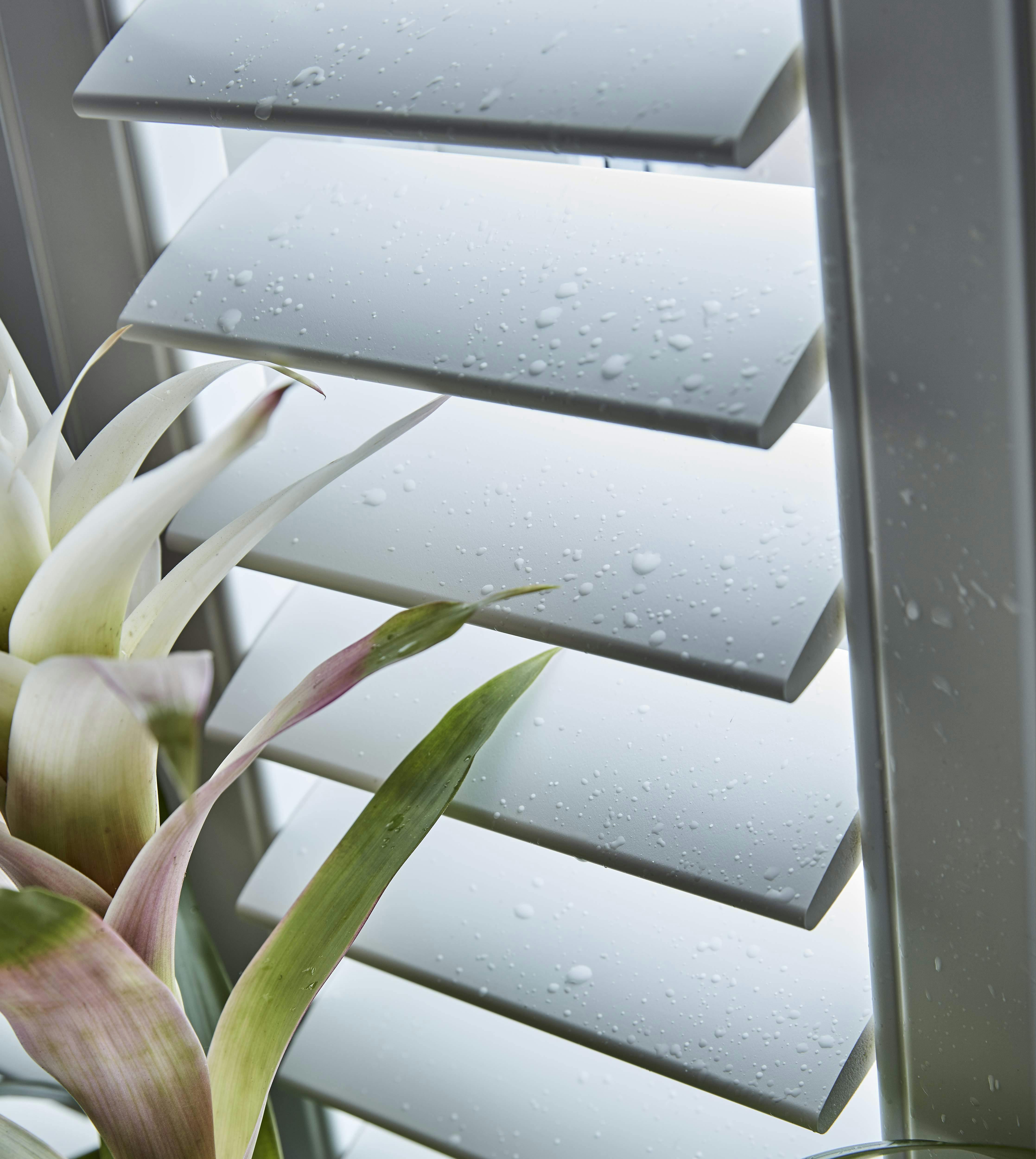 Side view of white Shutters with some water droplets on them