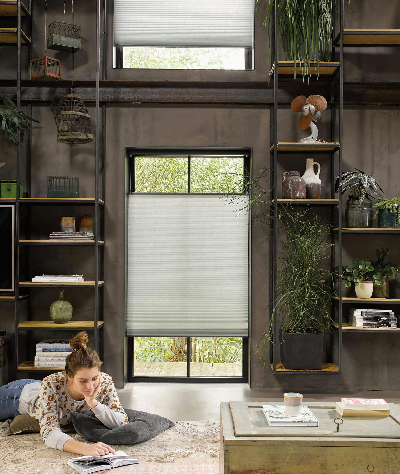 Dark living room with grey Duette® blinds