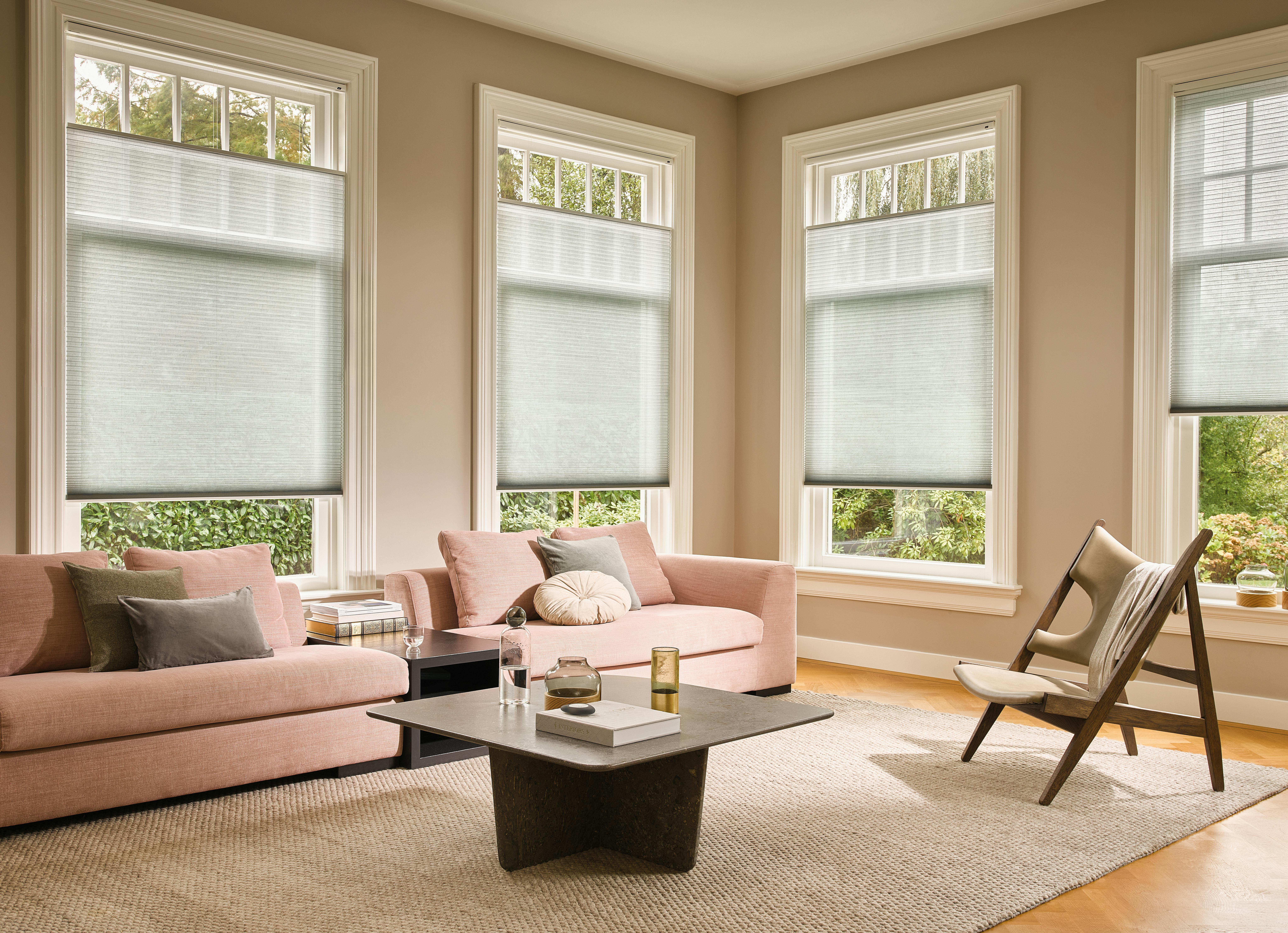 Ruime pastel woonkamer met lichtgroene Duette® shades voor de ramen