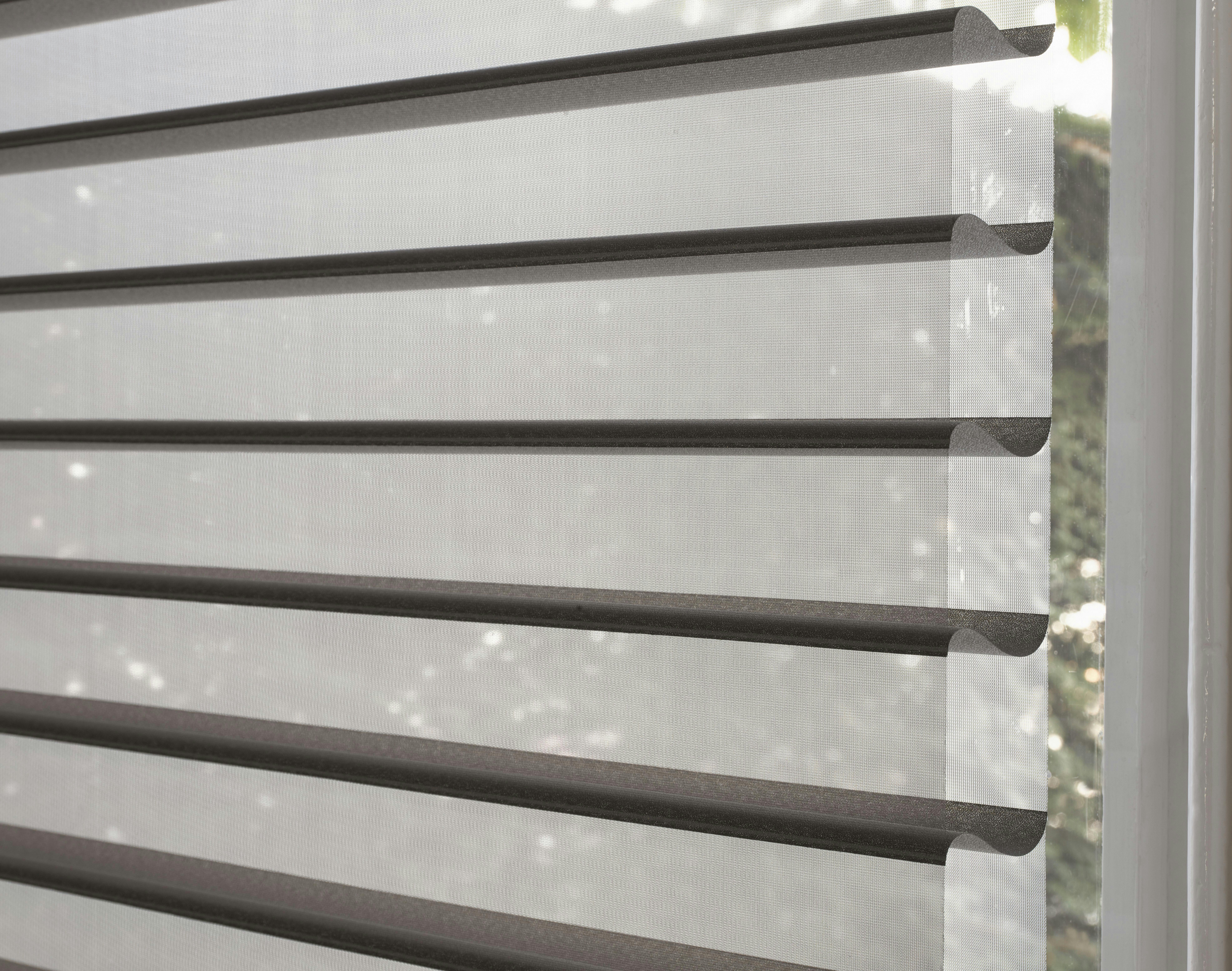 Closeup black of silhouette shades 