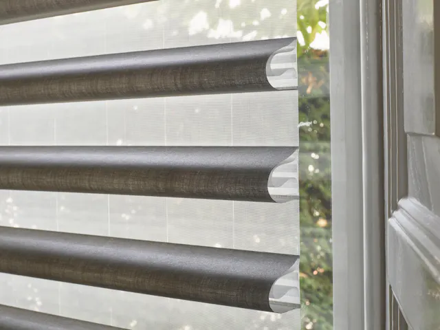 Pirouette® blinds