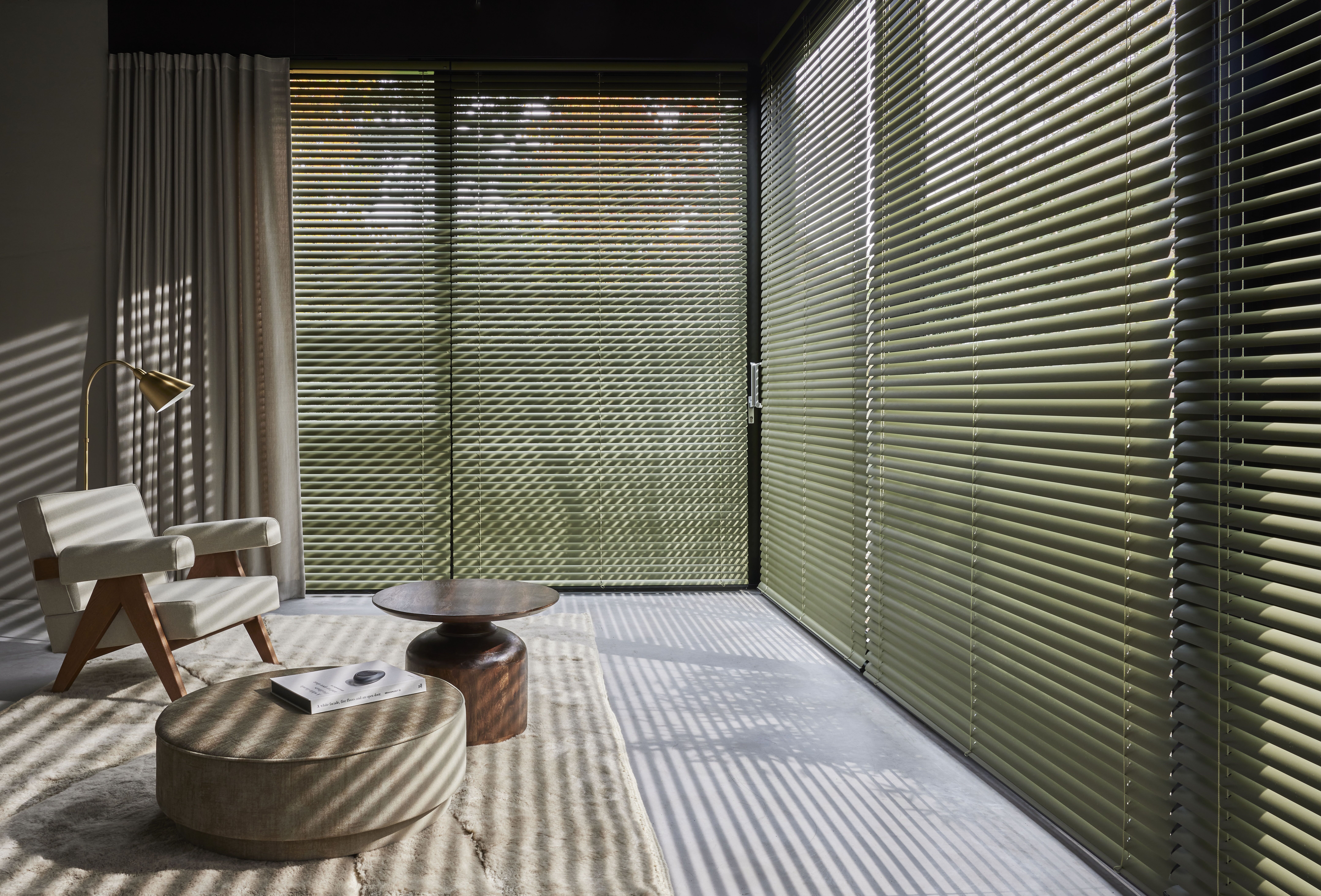 Green venetian blinds by a living room window 