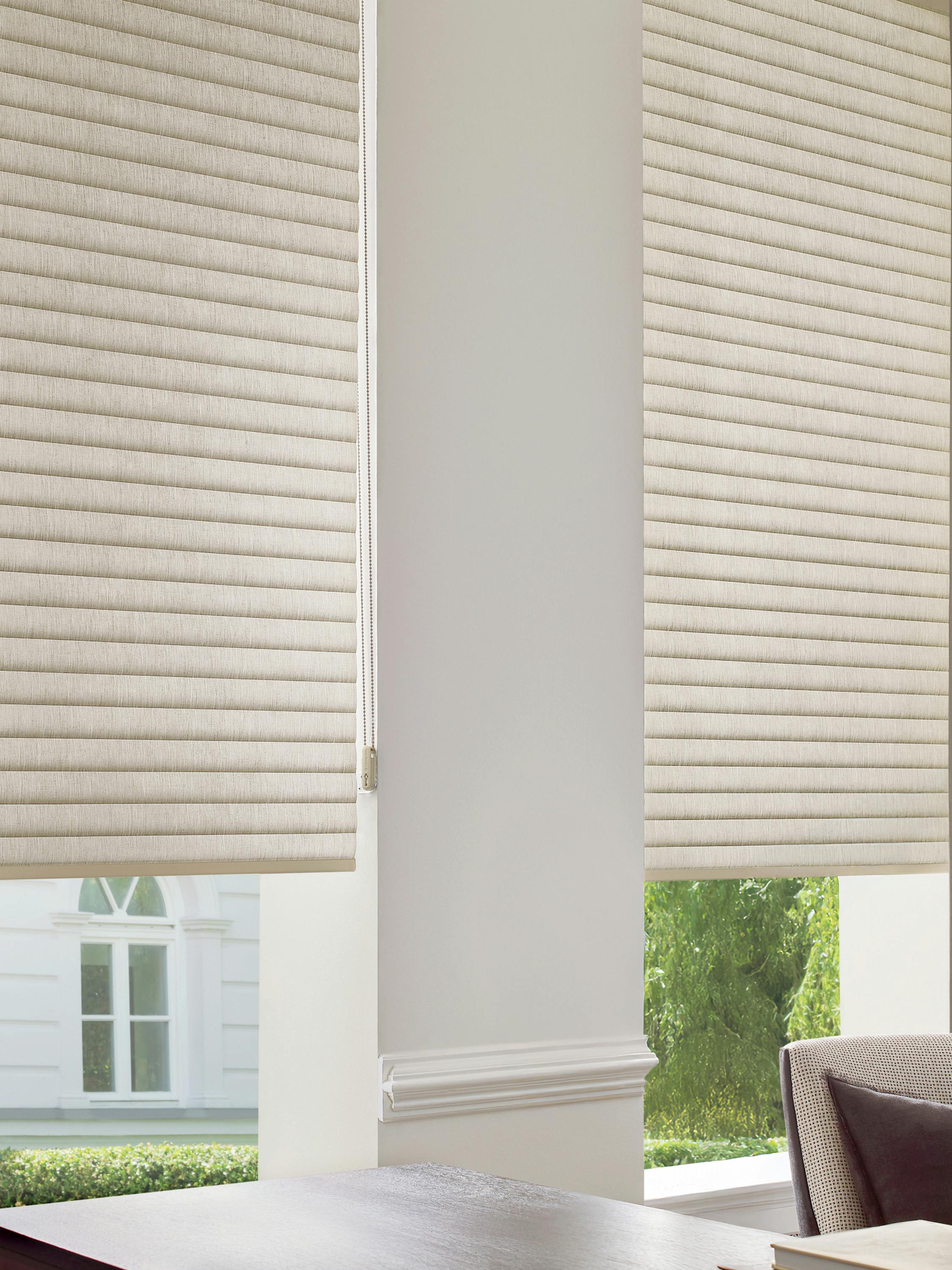 Cream sonnette shades layered with brown curtains in an office