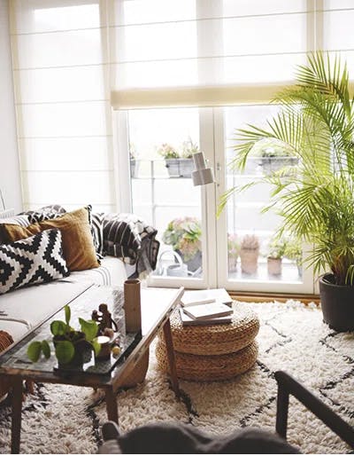 Kremfargede liftgardiner