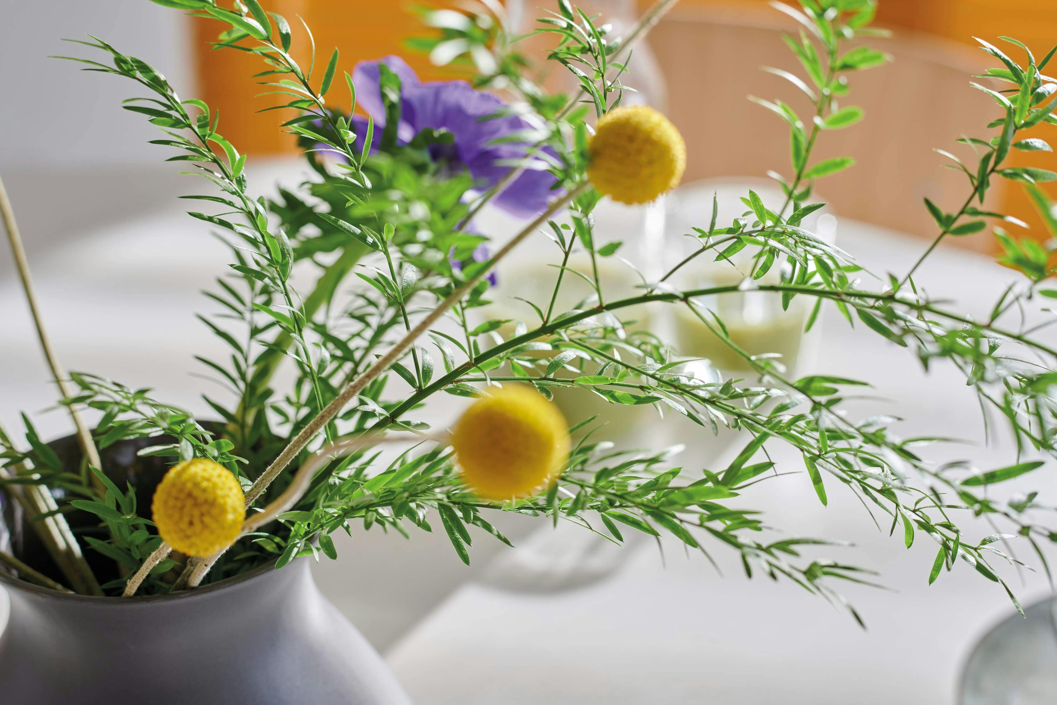 Beeldmateriaal: Sfeerbeelden van Luxaflex®