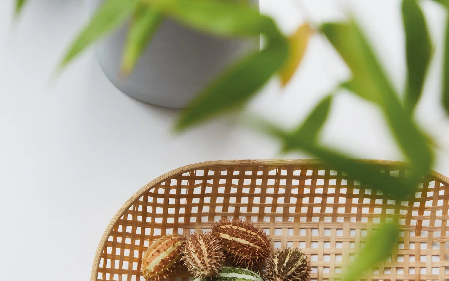 Sådan får du et hjem i naturlig og nordisk indretning