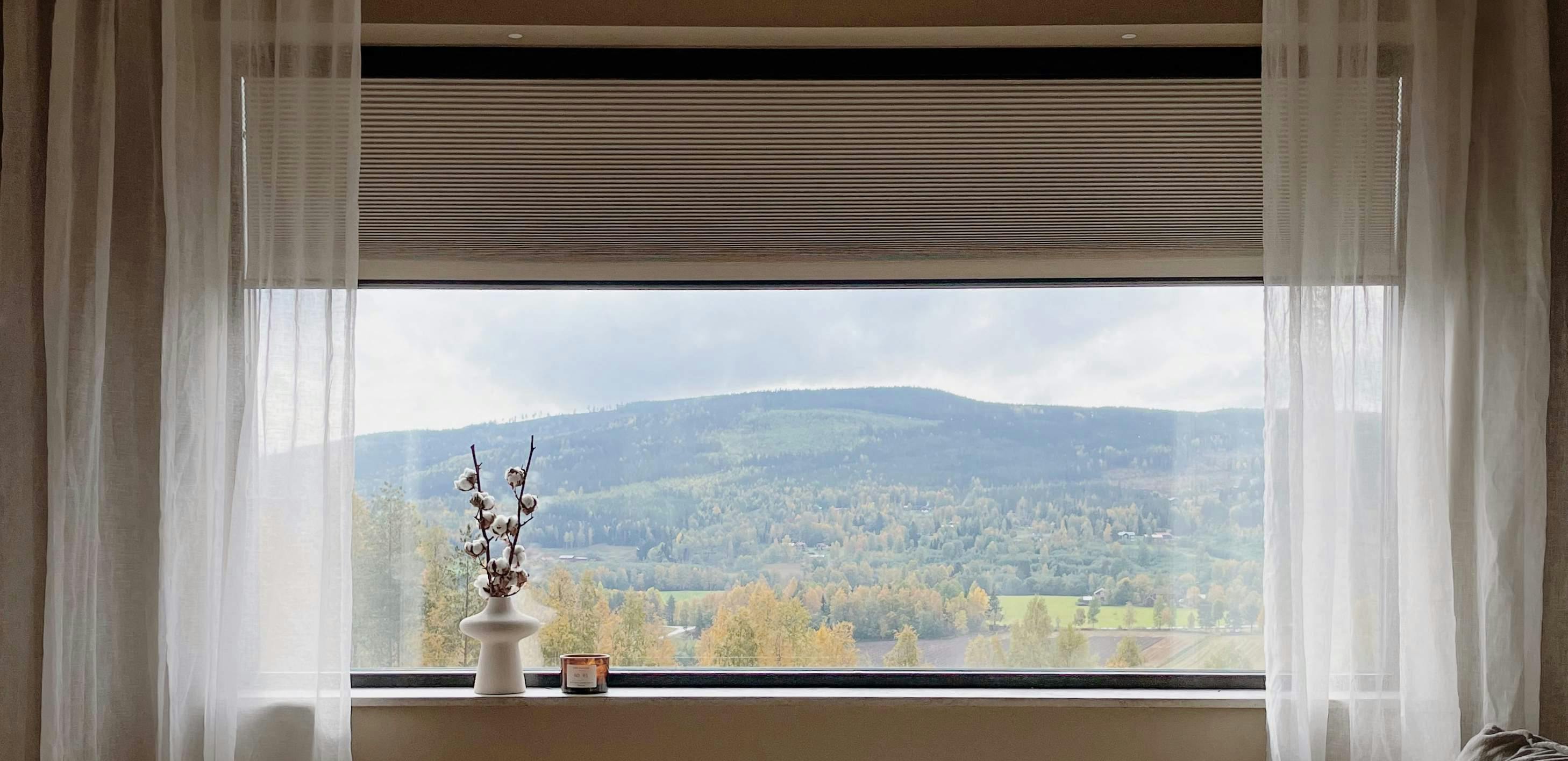 living room windows half covered with sheer curtains and duette blinds