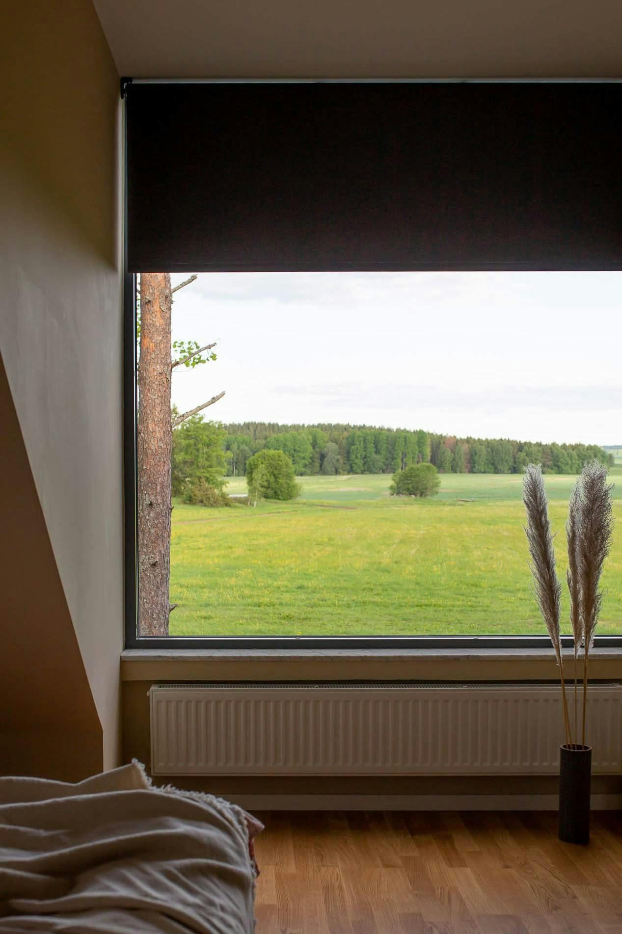 Roller blinds partially covering living room window