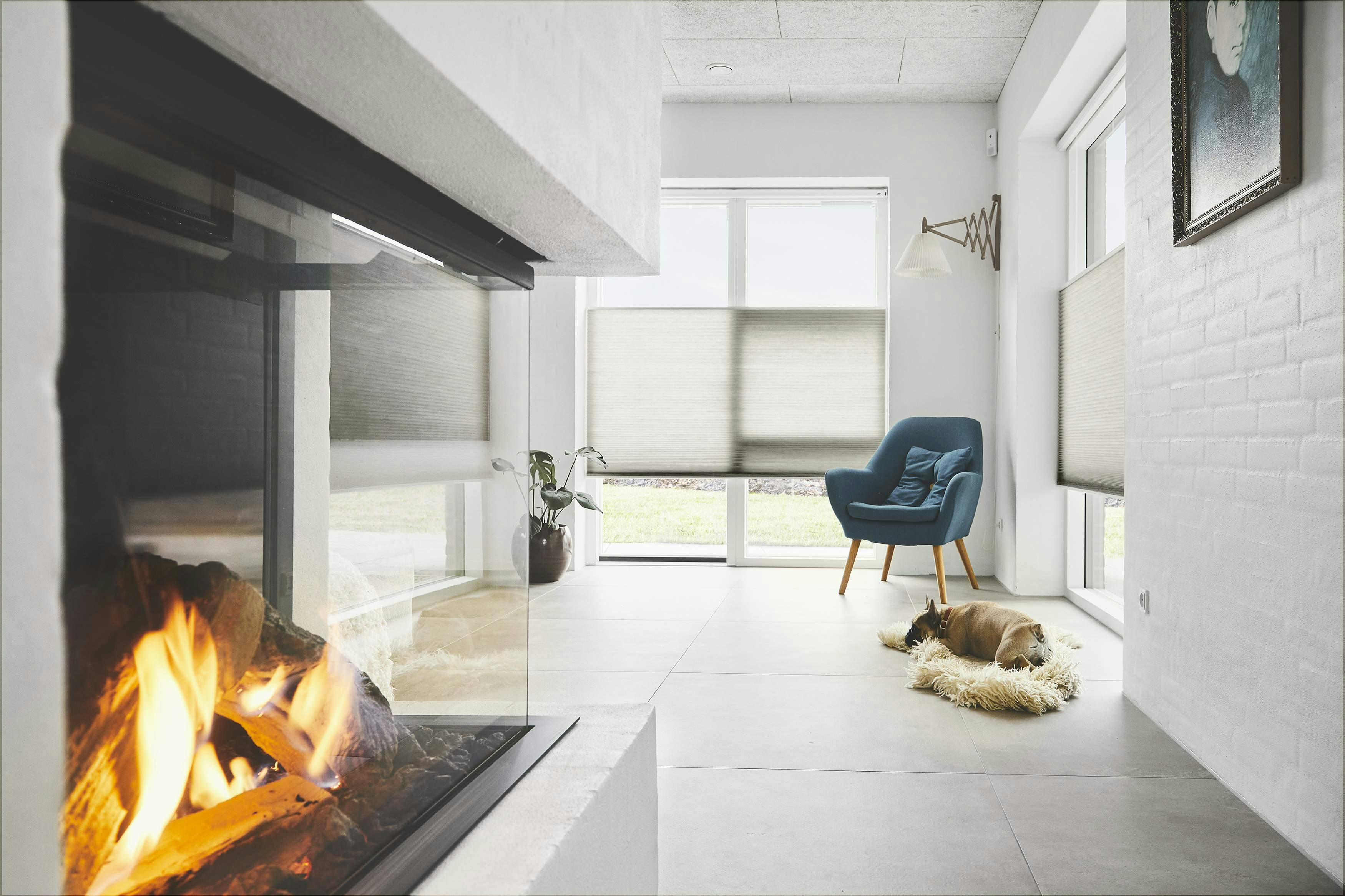 Living room shaded with duette blinds with a dog sleeping on the floor