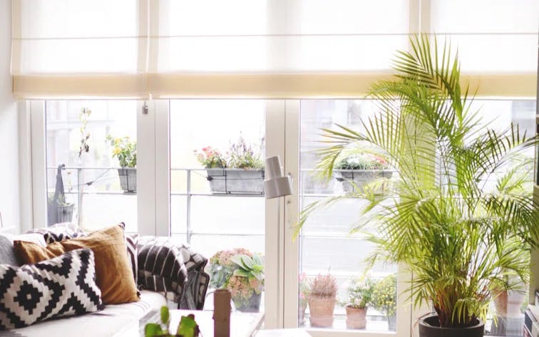 Ett ljust och hemtrevligt vardagsrum med stora fönster och vita persienner. Utanför fönstren står blomlådor med olika växter. Inne i rummet finns en soffa med svartvita och bruna kuddar, en stor grön krukväxt vid fönstret och ett litet bord med fler växter framför soffan.