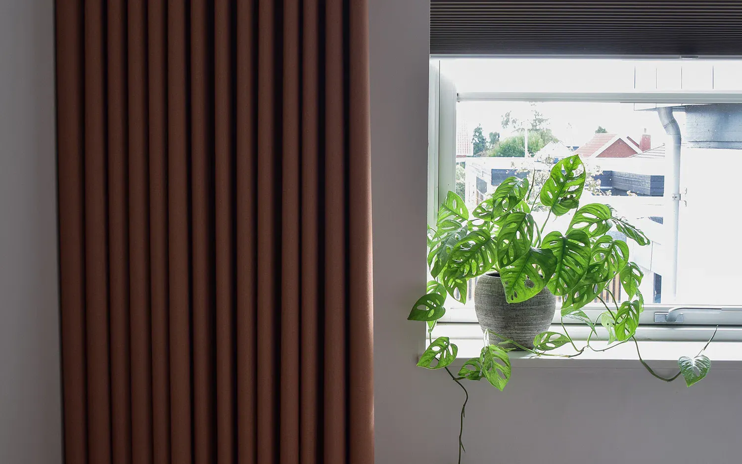 En krukväxt med gröna blad med hål, liknande en Monstera, står på en fönsterbräda. Bakom växten syns ett fönster med utsikt över byggnader och grönska. Till vänster hänger bruna gardiner.