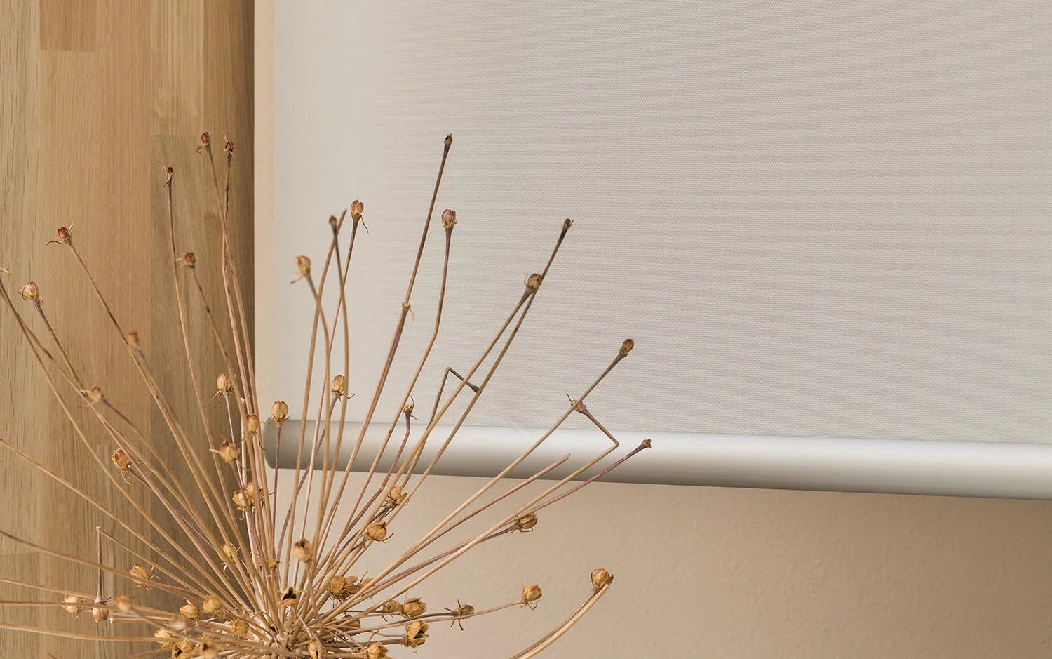 Närbild på en torkad växt med tunna stjälkar och små frökapslar, placerad framför en ljus vägg och delvis framför en vit rullgardin. Till vänster syns en träyta.